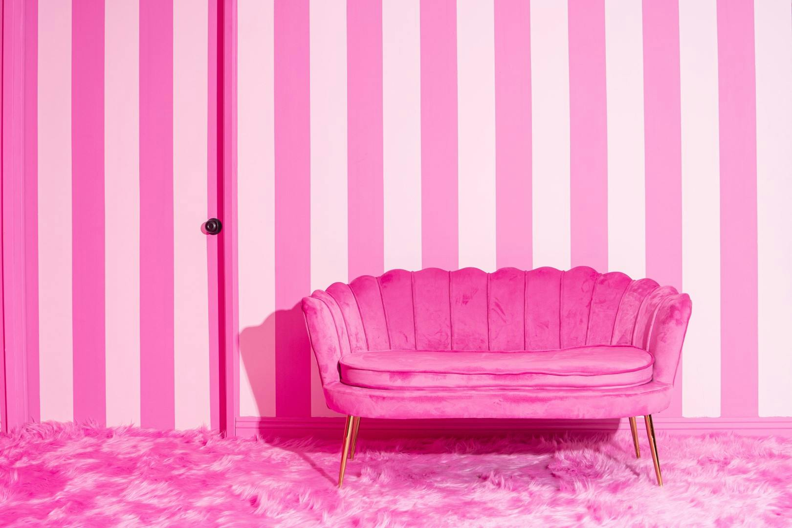 Boutique Photography and Videography at Pulp Valley Studios with 7 Creative Sets