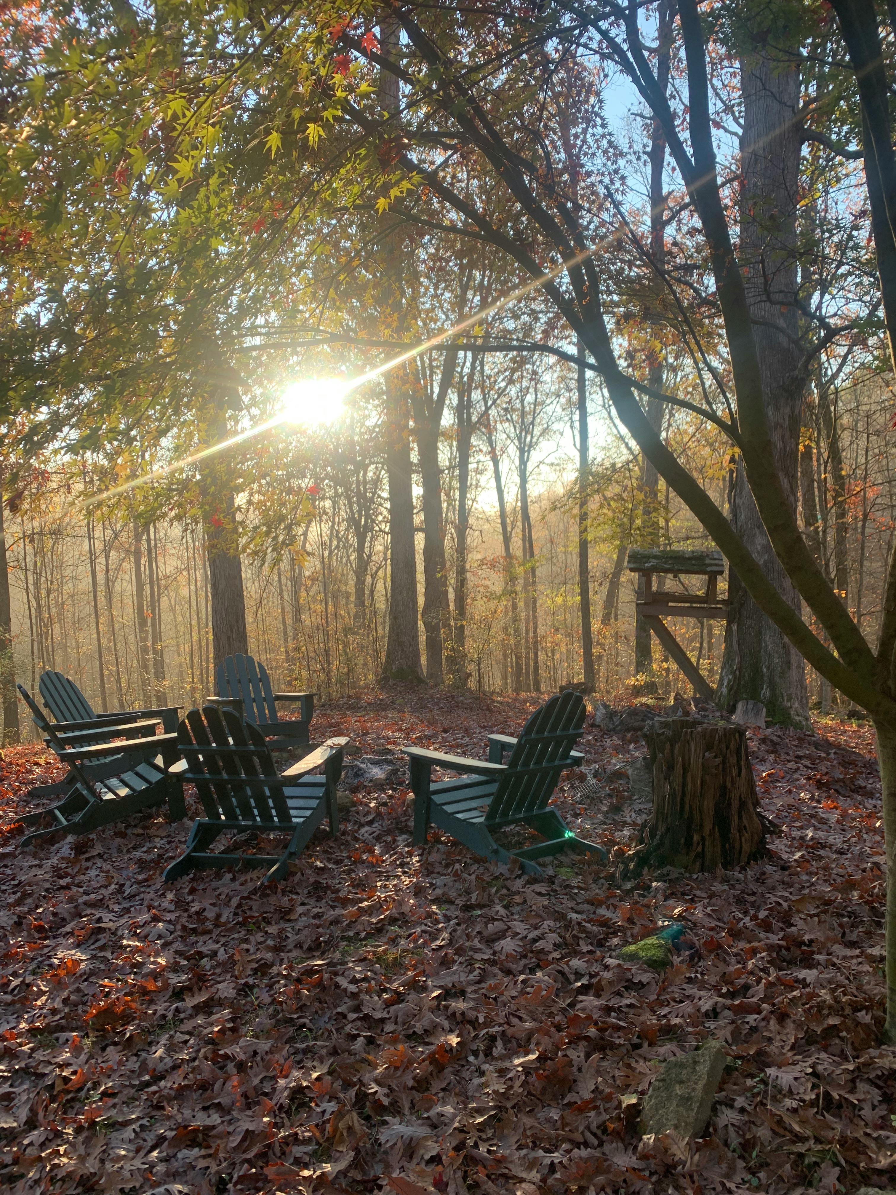 Hand-Built 3,200 Sq Ft Artistic Cabin on 6 Private Acres – 20 Min from Nashville