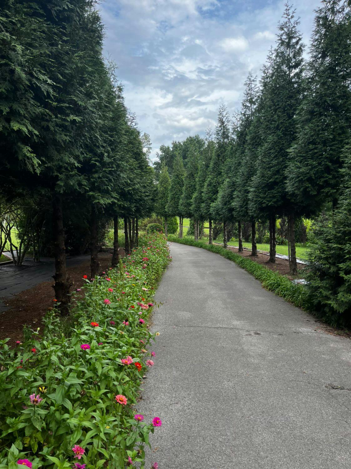 The Eden Estate 
