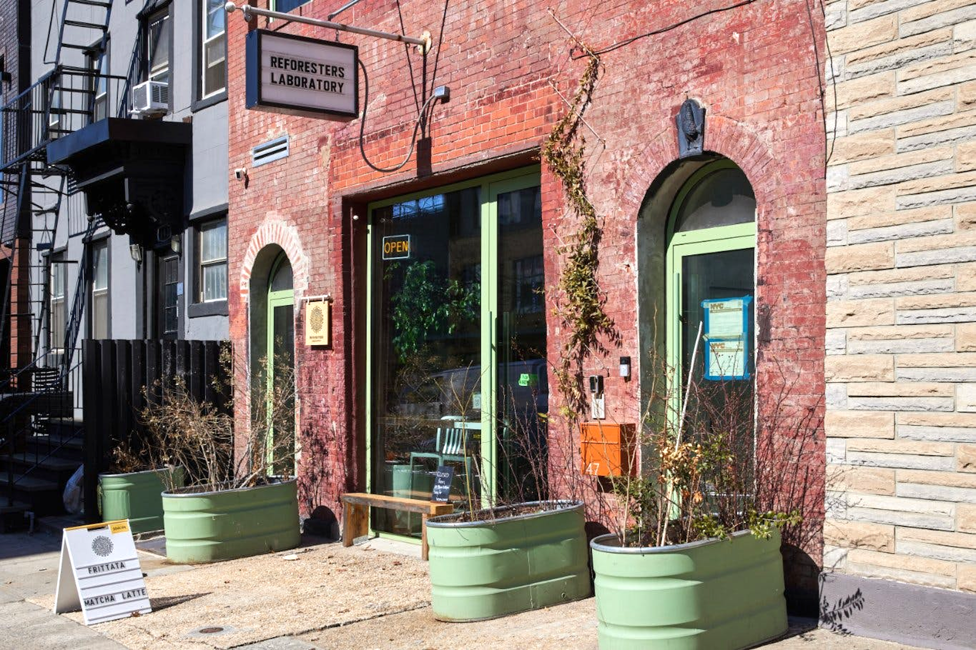 Sustainable and Serene Cafe in Williamsburg
