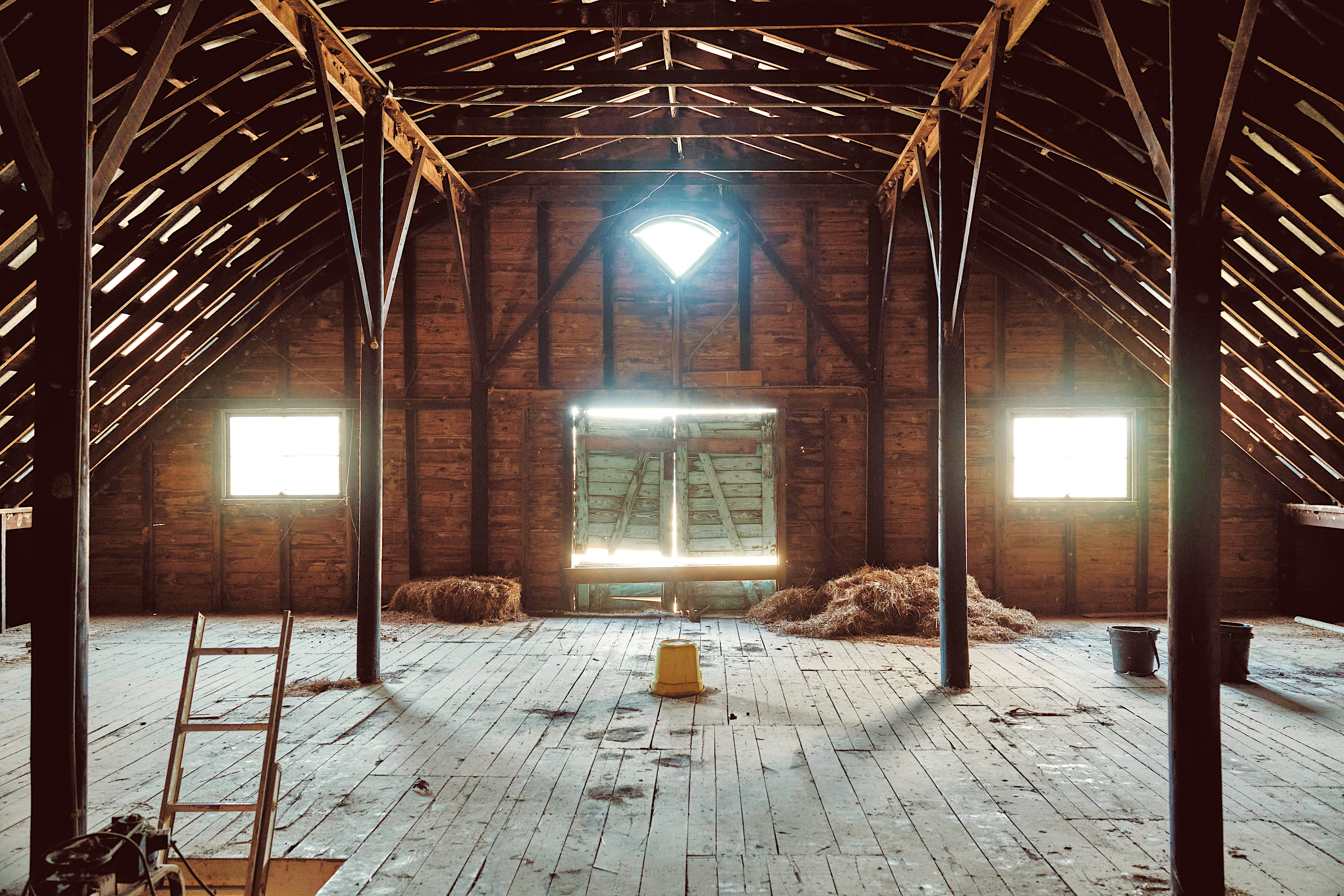 Tuckahoe Farm 