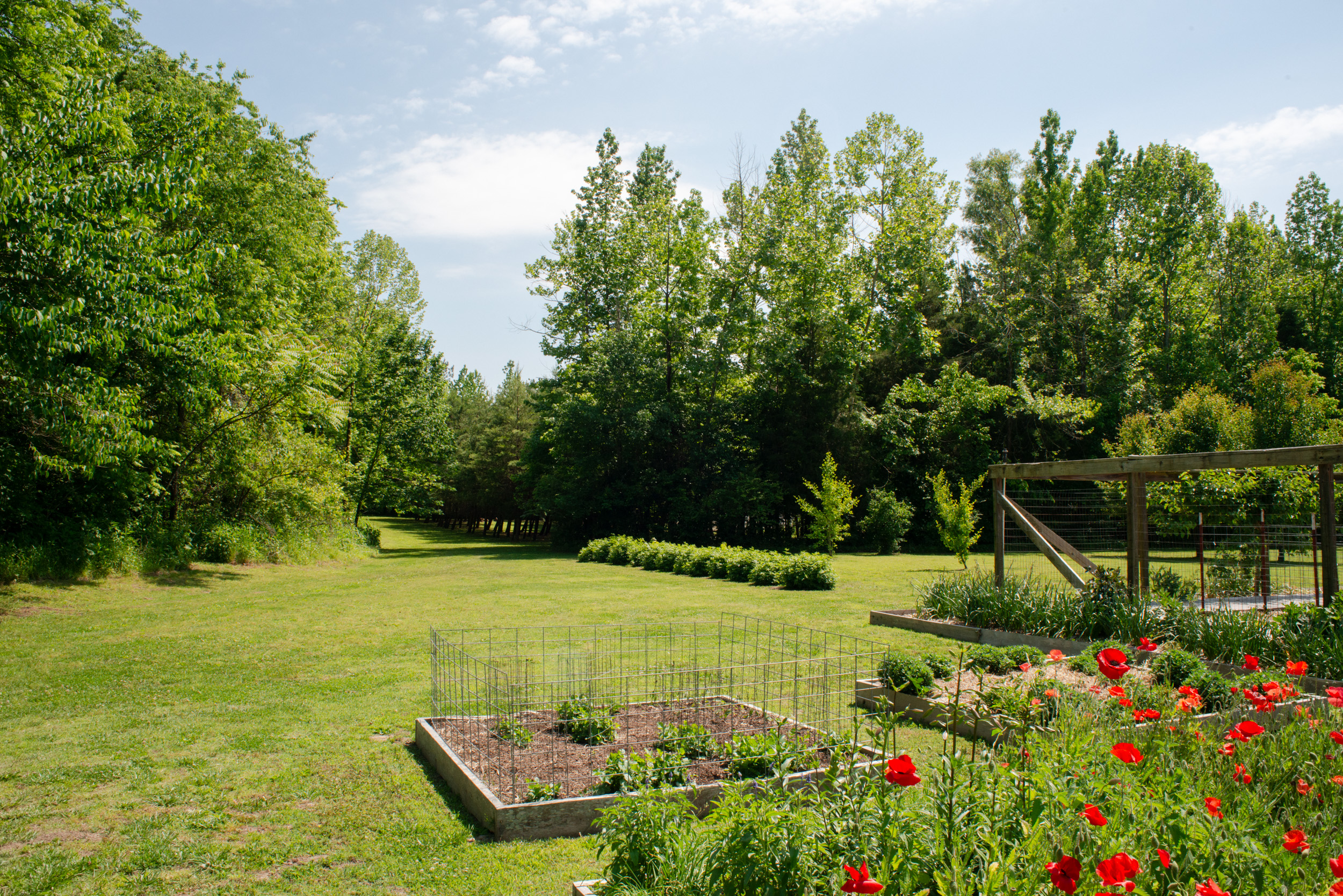 Beautiful Organic 40 acre farm - No. 9 Farms/Dwelling at No.9 Airbnb (Vintage Trailer)  