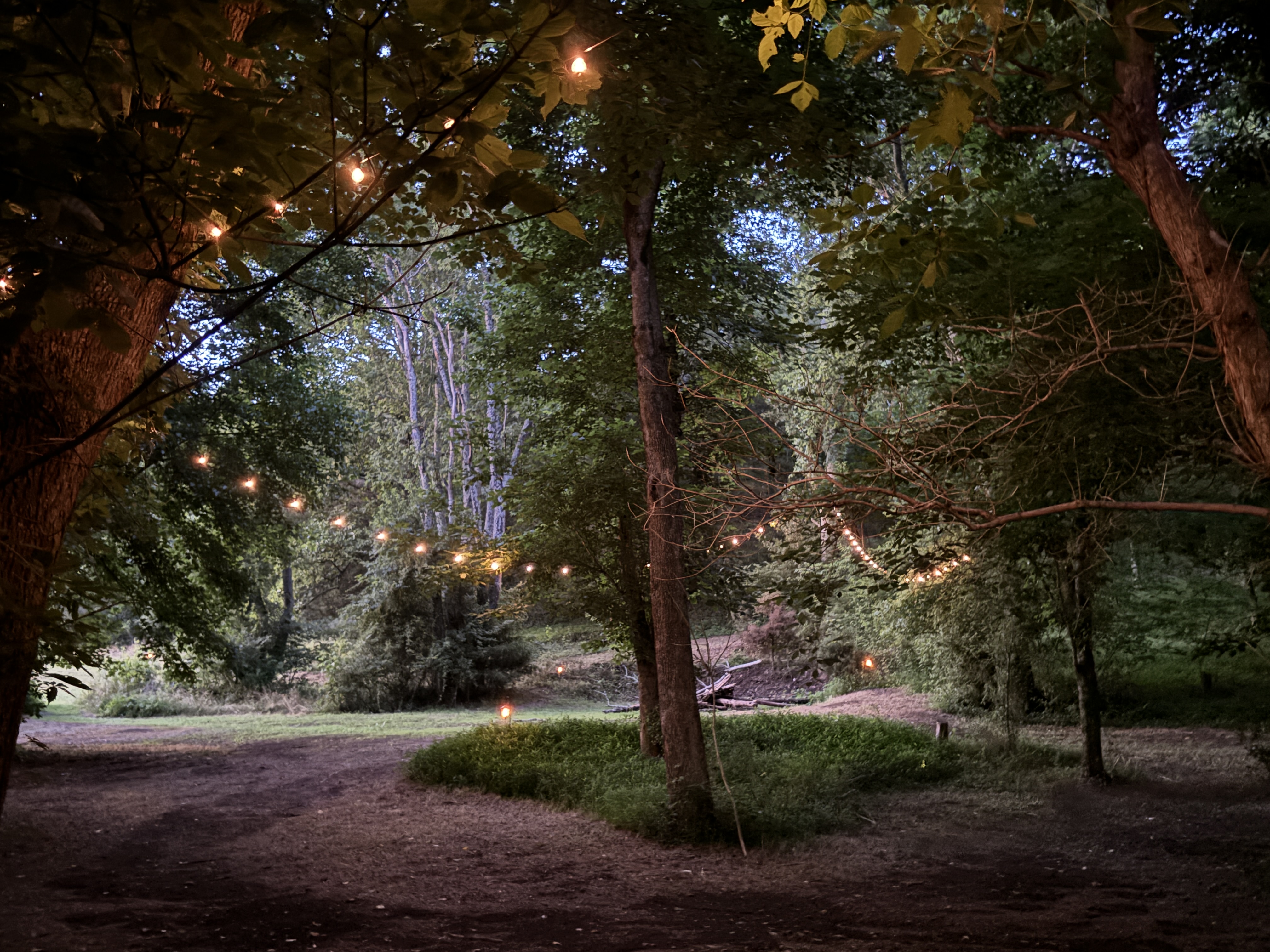 Storybook Farmhouse on 4 Acres with Enchanted Forest