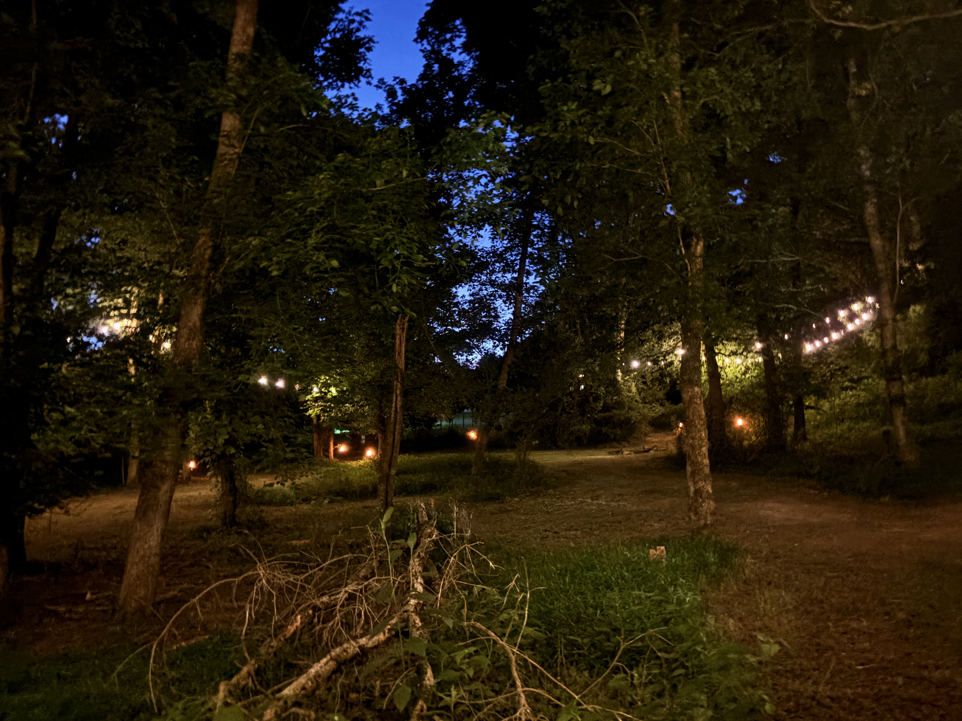 Storybook Farmhouse on 4 Acres with Enchanted Forest