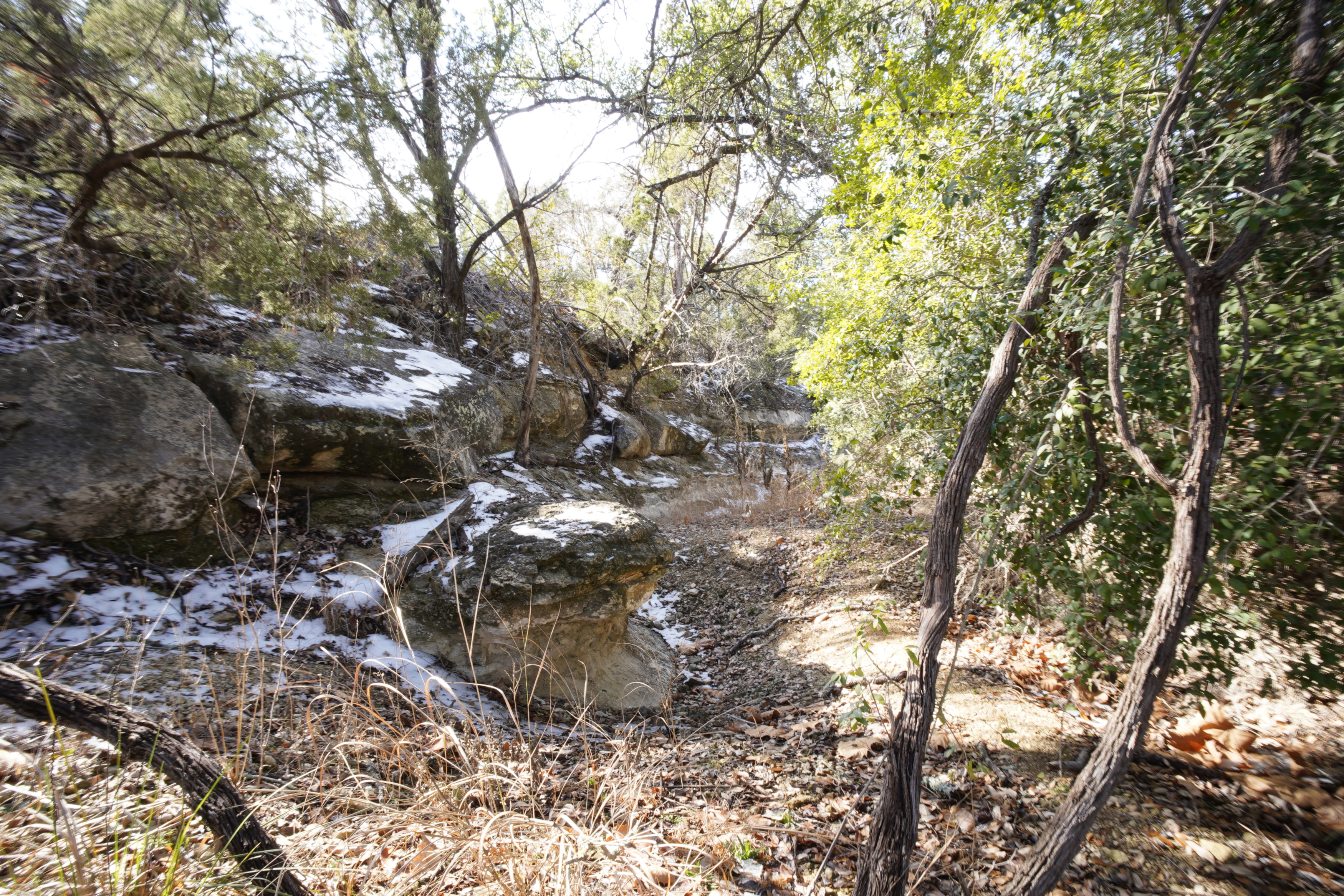 Four Winns Ranch