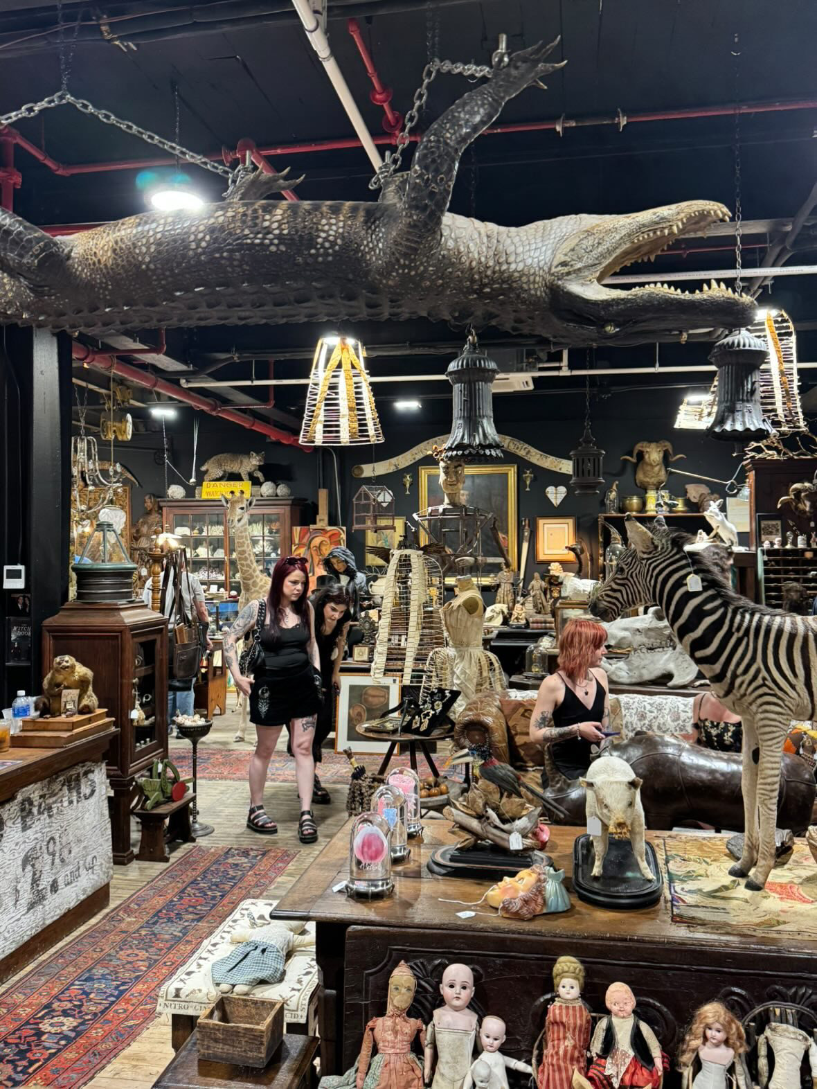 Victorian Antique Shop 