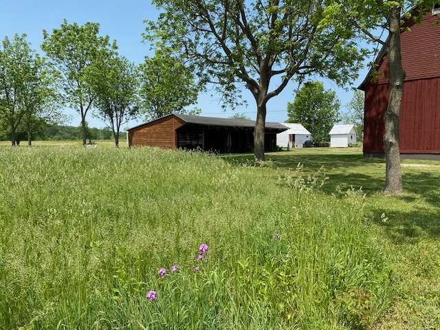 Springhouse Farm