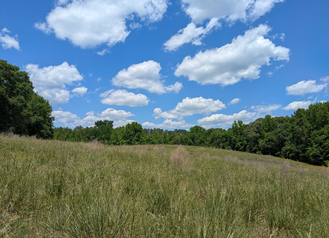 100+ Acre Rural Farm Sanctuary with Pastures, Woods & 1800s Abandoned House