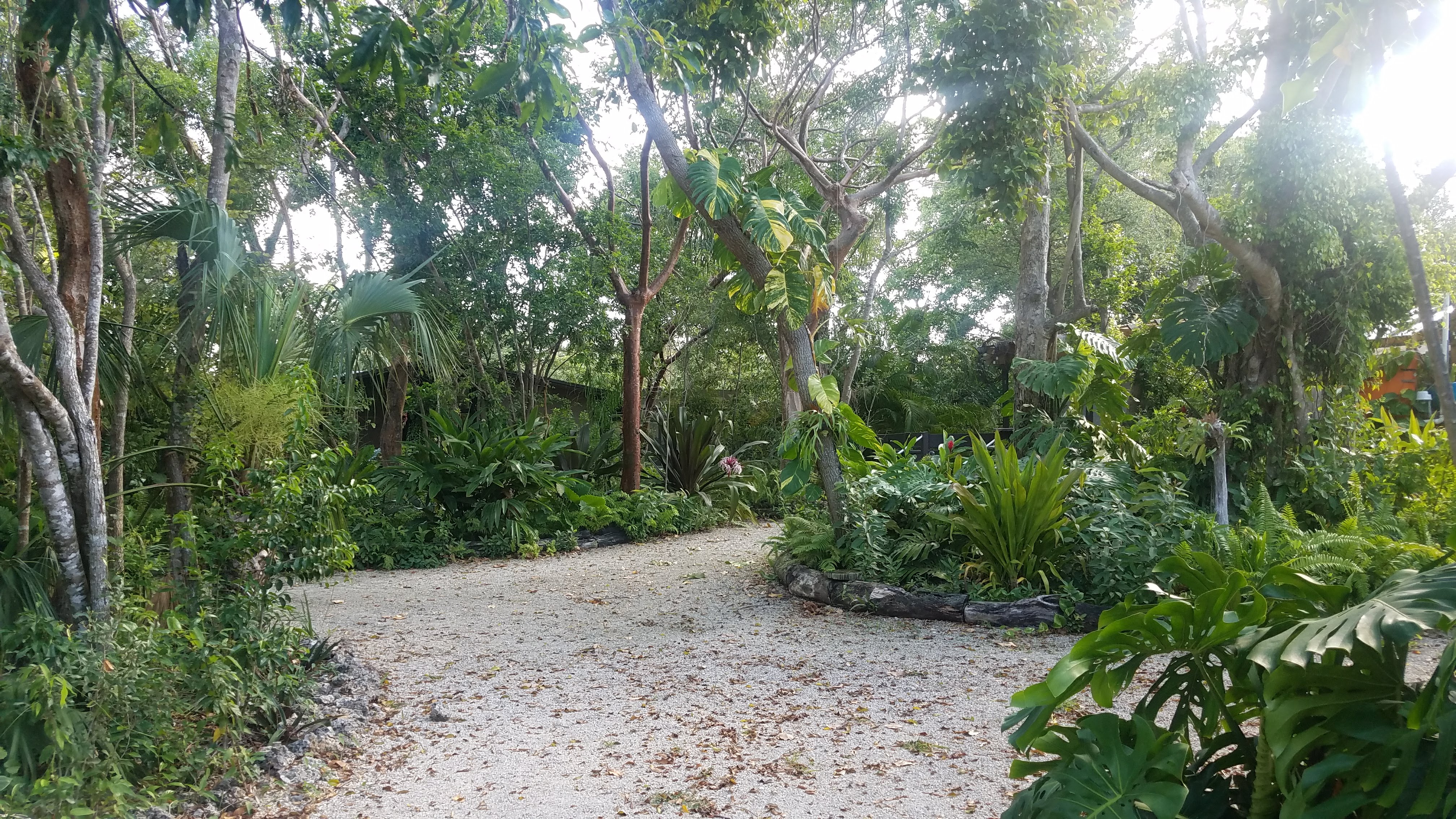 Compassion Farm Tropical Forest 