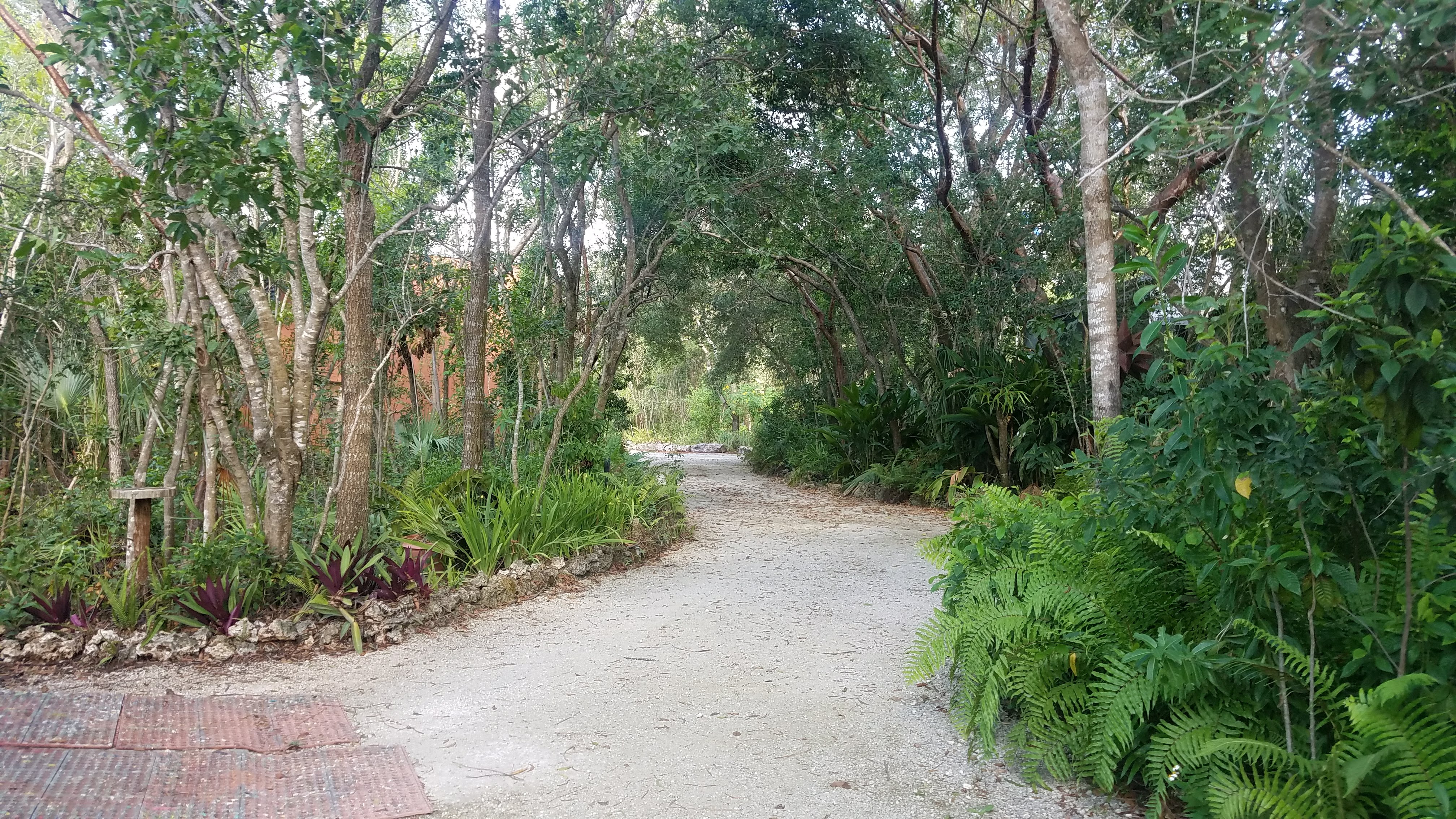 Compassion Farm Tropical Forest 