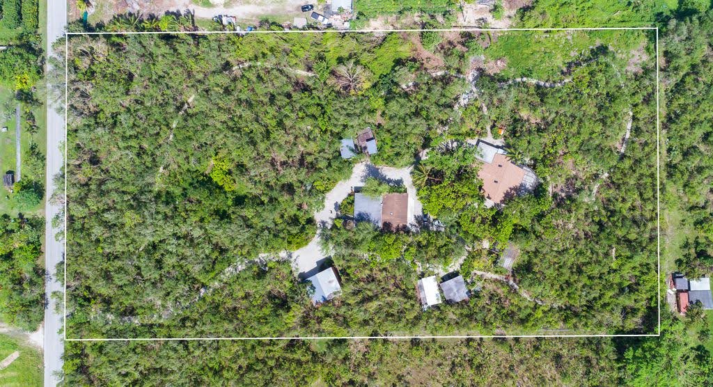 Compassion Farm Tropical Forest 