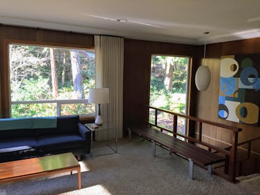 Warm midcentury in the forest
