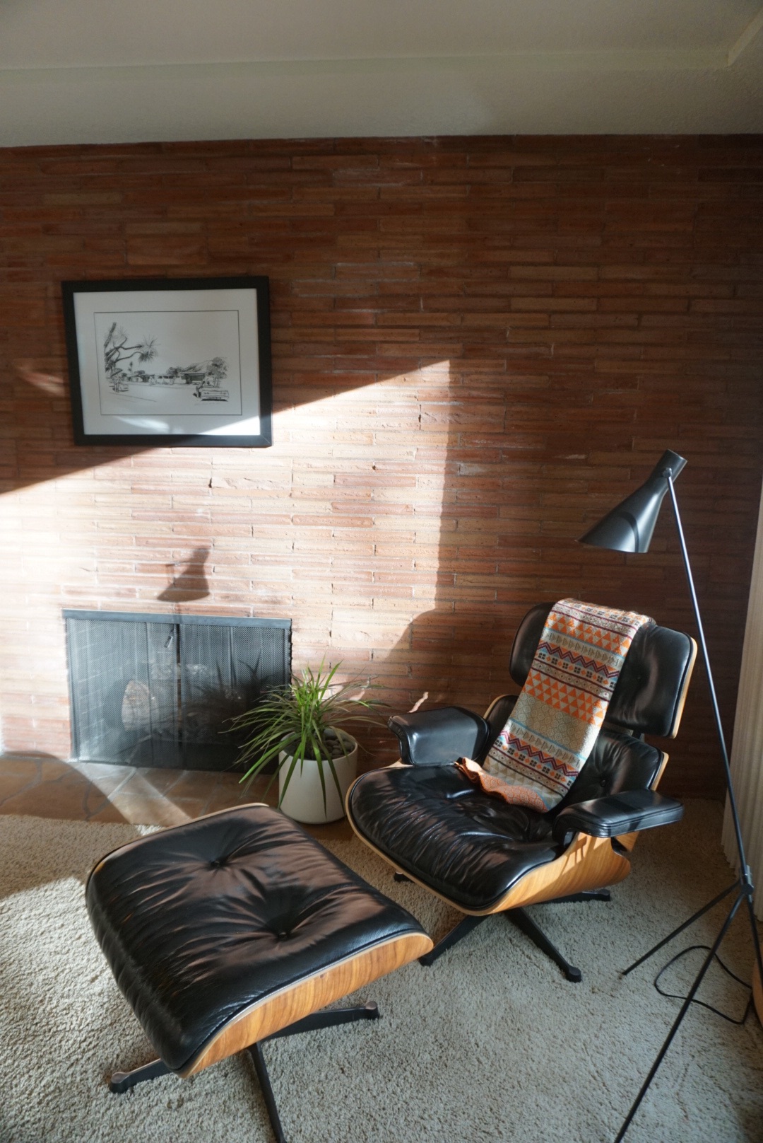 Warm midcentury in the forest