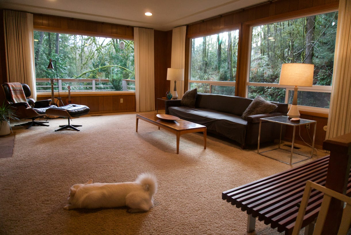 Warm midcentury in the forest