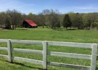Beech Grove Historic Venue - c1850 BARN, Outbuildings, FIELDS, Woods (c1850 FarmHouse in Separate Listing)