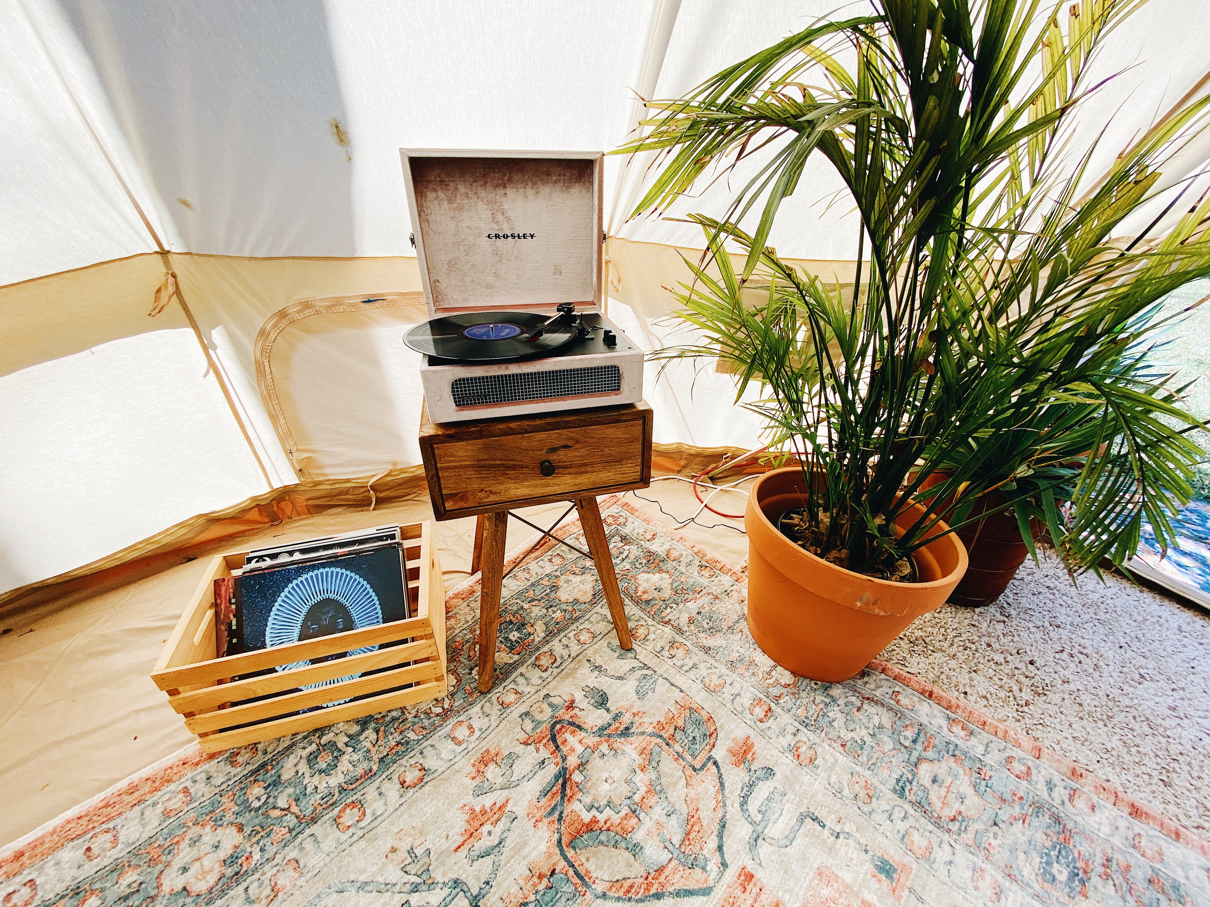 East Dallas Tent and Backyard - TheTentDudes