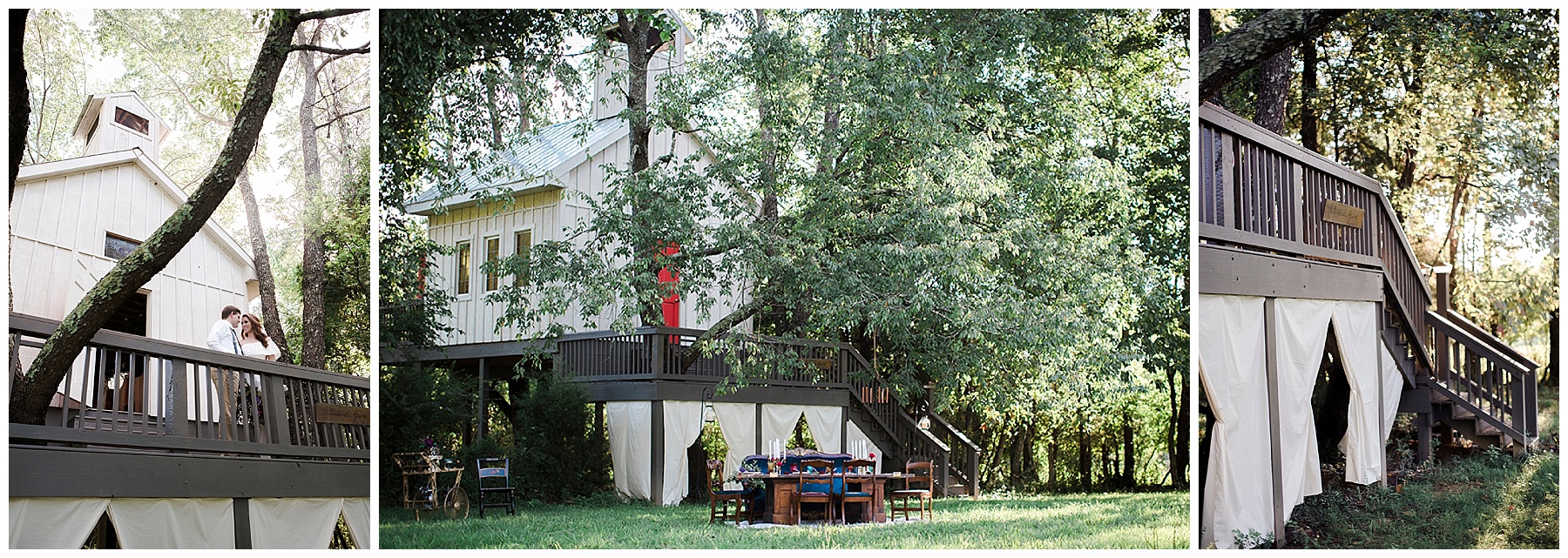 Stewards' Grove: A Northeast Nashville Farm