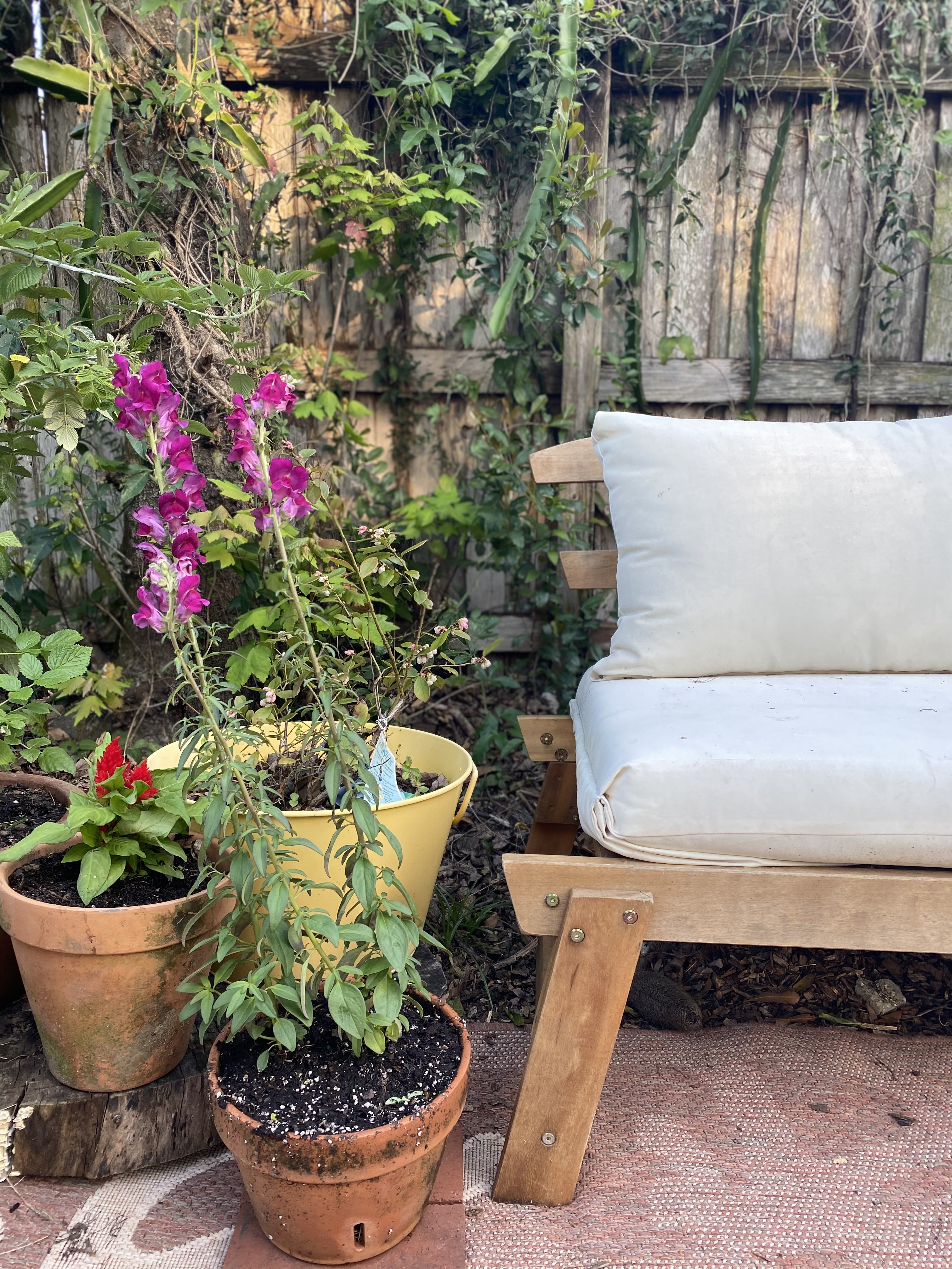 Urban Garden Wonderland - Outdoor living room/dining space + chickens