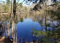 75 wooded Acres with forest, creeks, pond,  lake, and trails