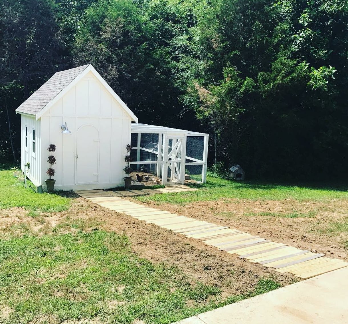 Daffodil Hill Chicken Coop
