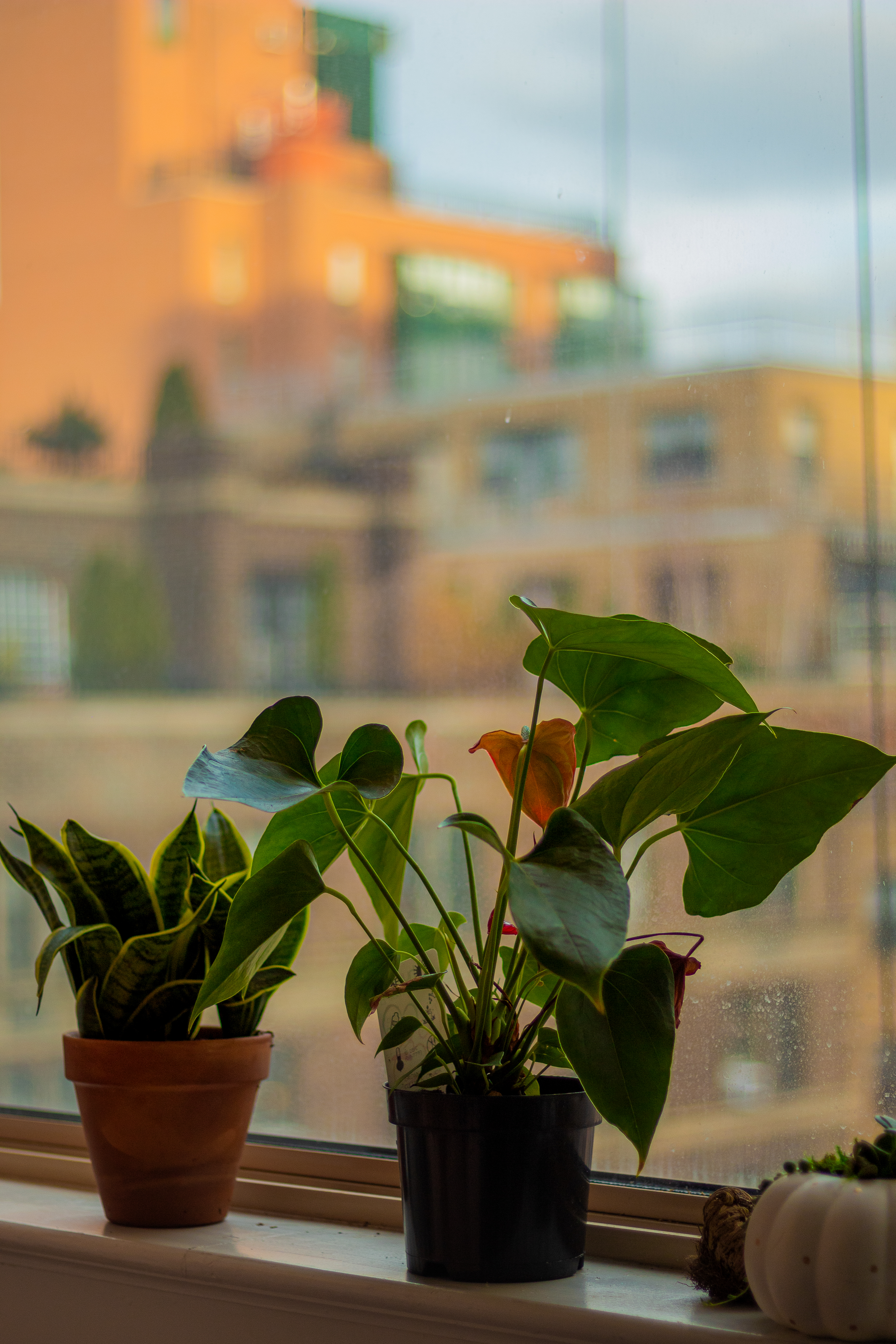 Bright, Glamorous Photo Studio Condo with City View in Upper East Side