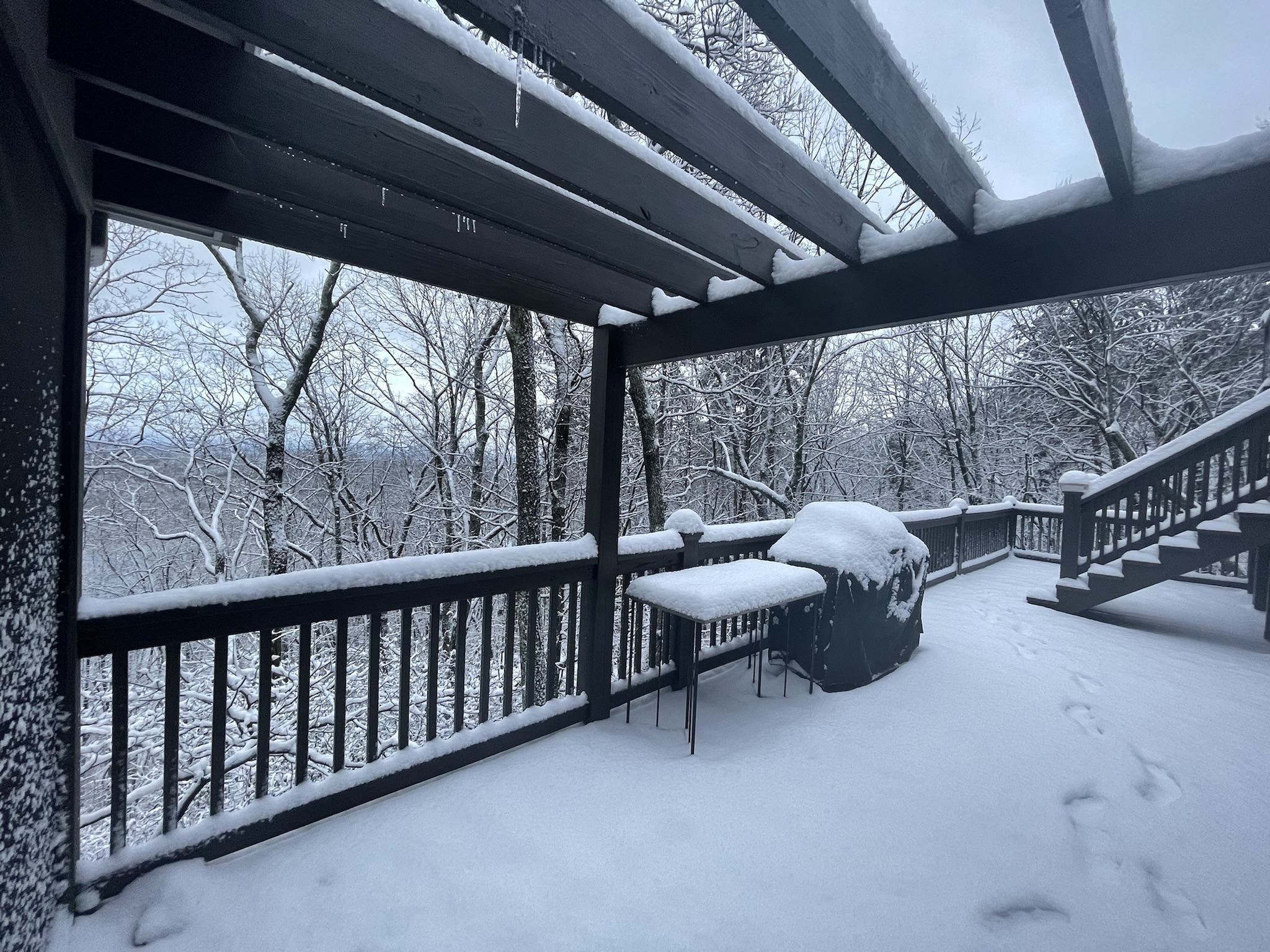 Custom Craftsman on Gated Yonah Mountain Estate