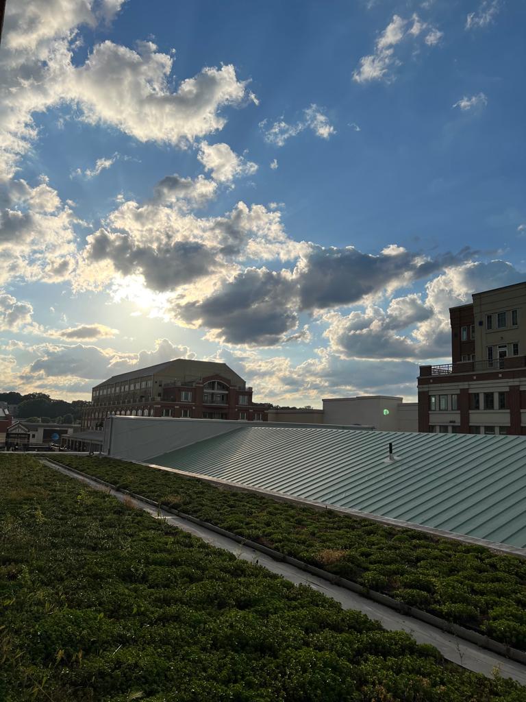 Exquisite Contemporary Atlanta Loft 
