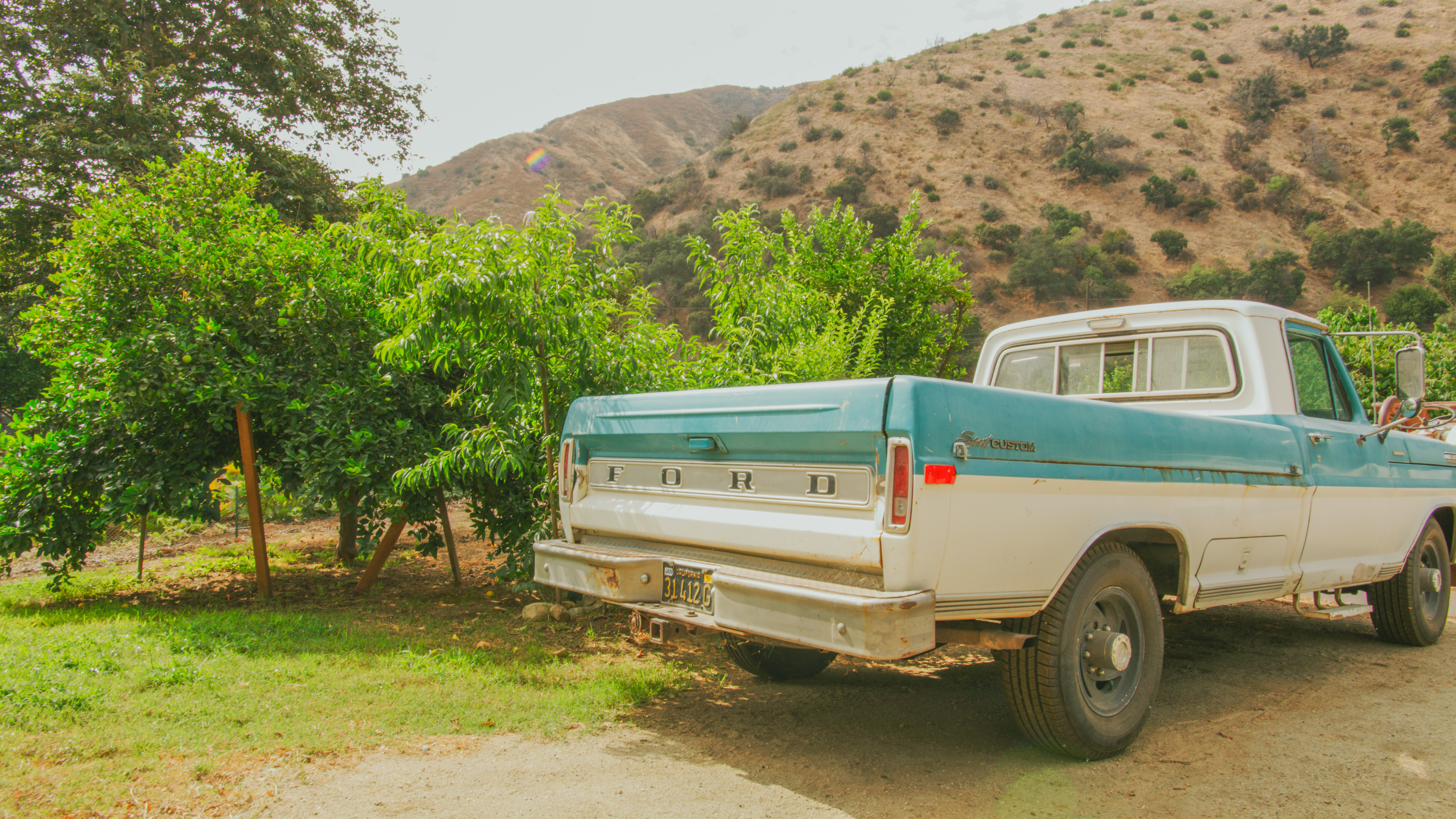 LA TUNA LOCATIONS OPEN CITRUS ORCHARDS