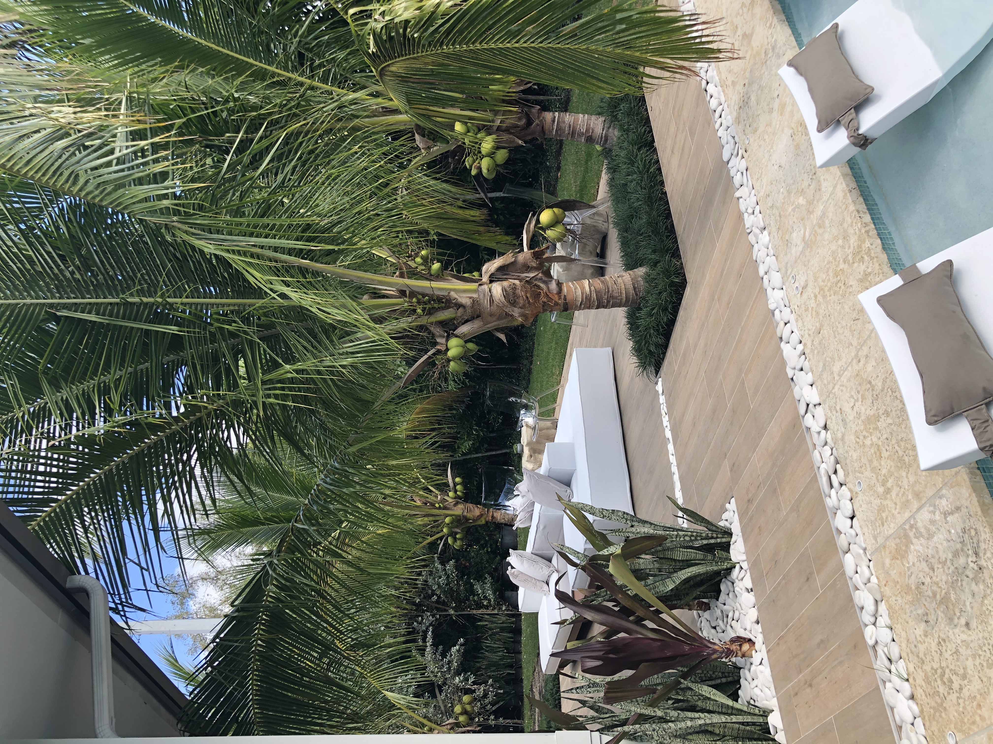 Modern home with Tropical Zen garden