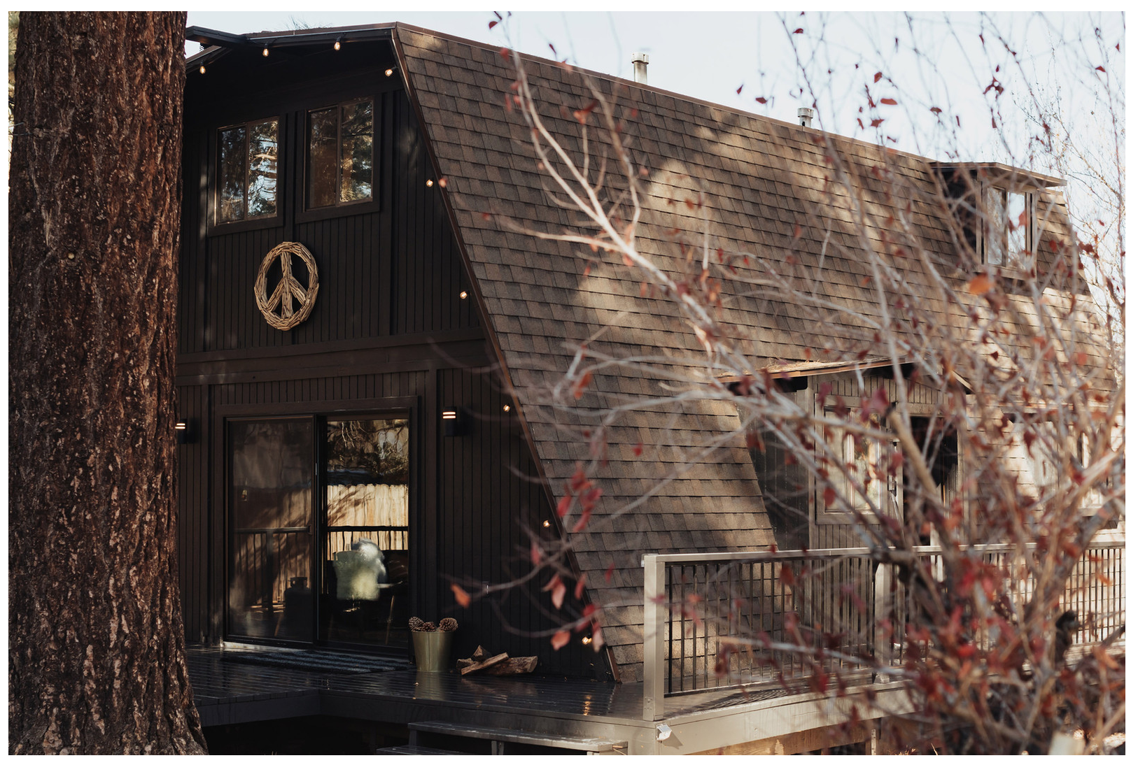 Mountain Modern Cabin