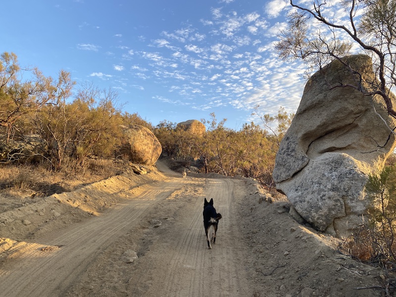 Sacred Mountain Views