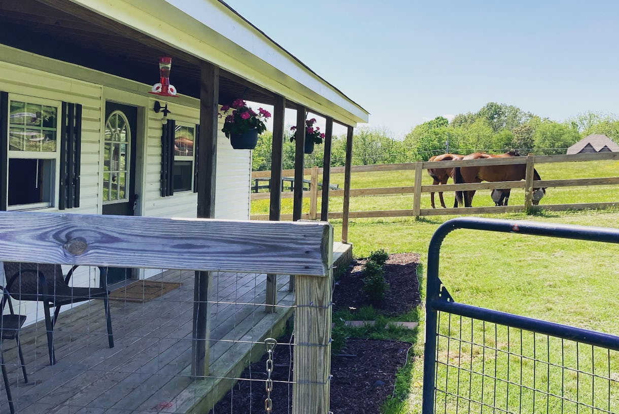 Birdsong Farm - Horse Farm featuring Cottage, Pastures, Barn, and More