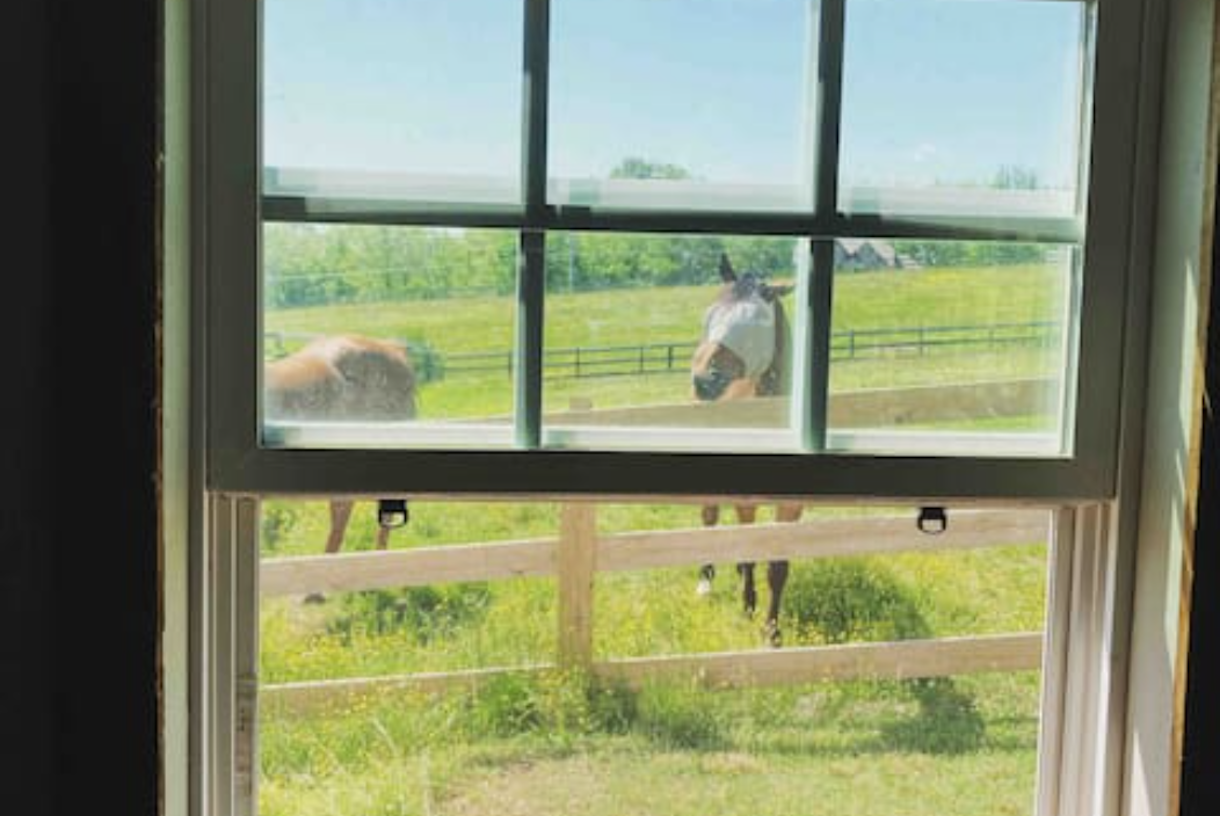 Birdsong Farm - Horse Farm featuring Cottage, Pastures, Barn, and More