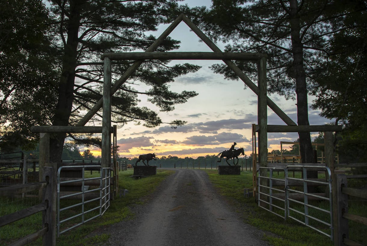 Working Horse & Cattle Ranch 90 minutes from NYC