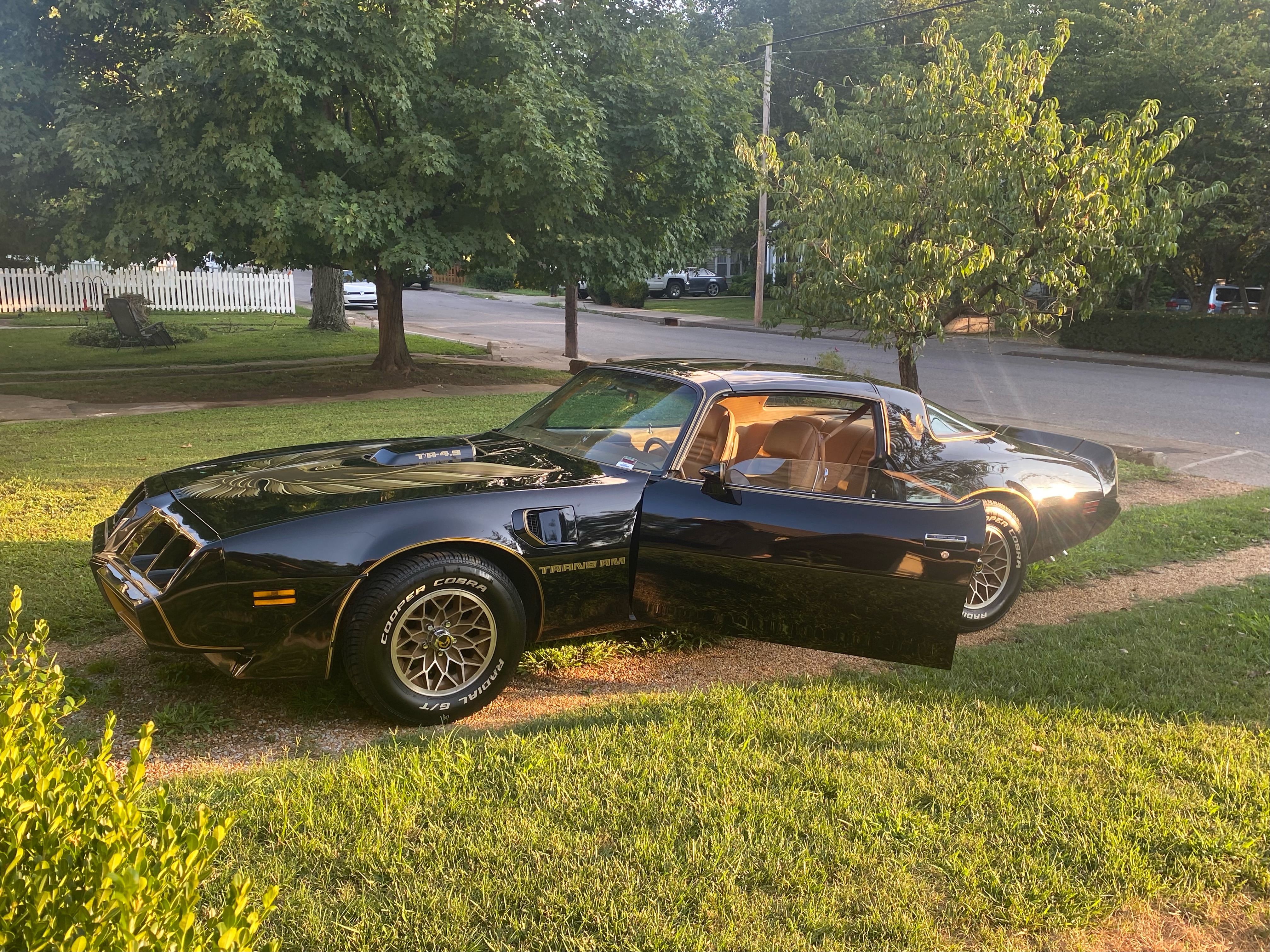 Transam  Pontiac Firebird Bandit 