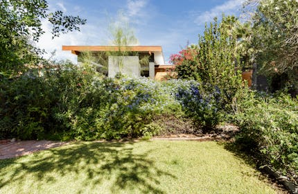 Mid-Century Luxury Villa with lush green landscaping