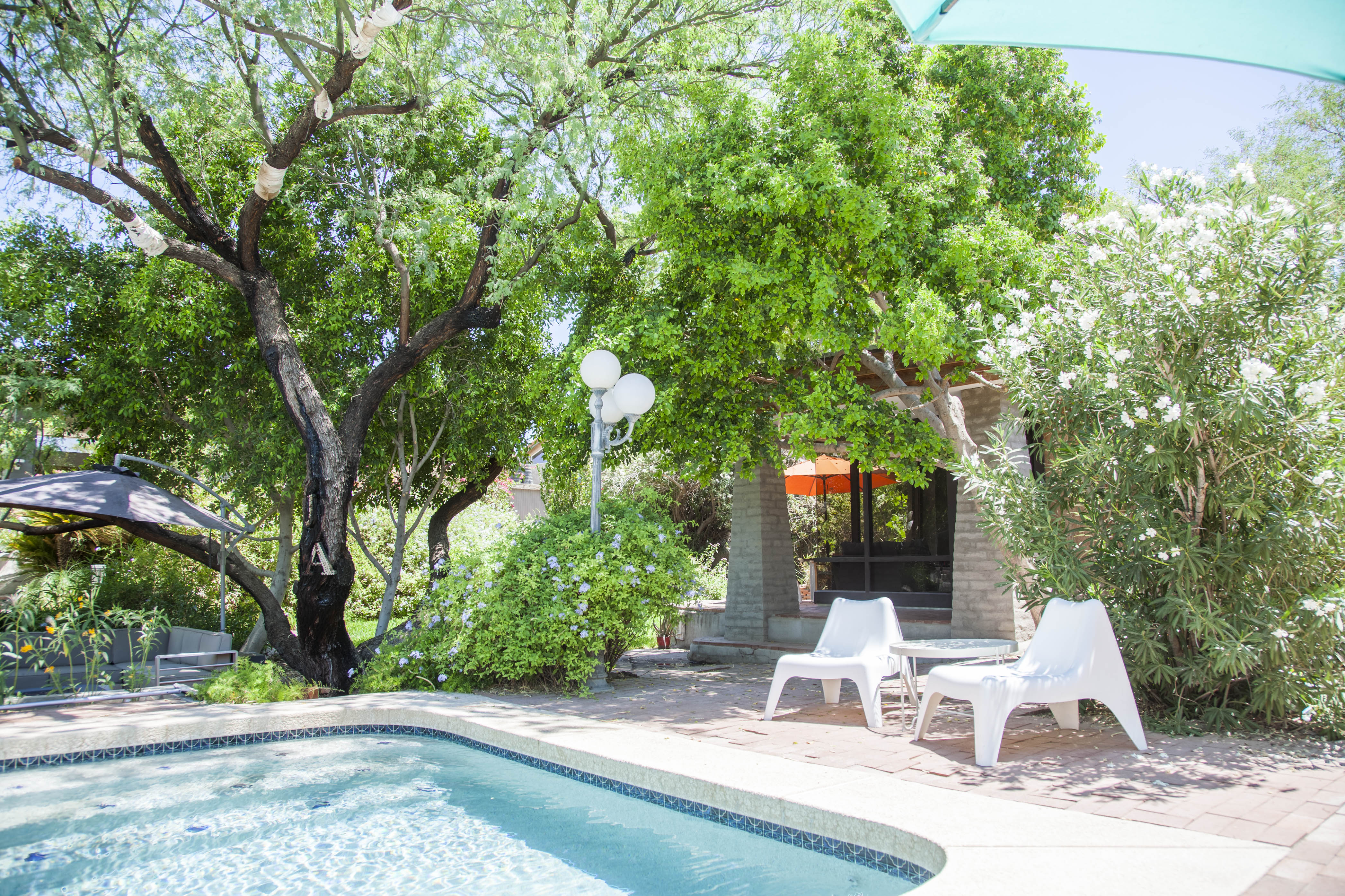 MCM studio guesthouse in lush gardens