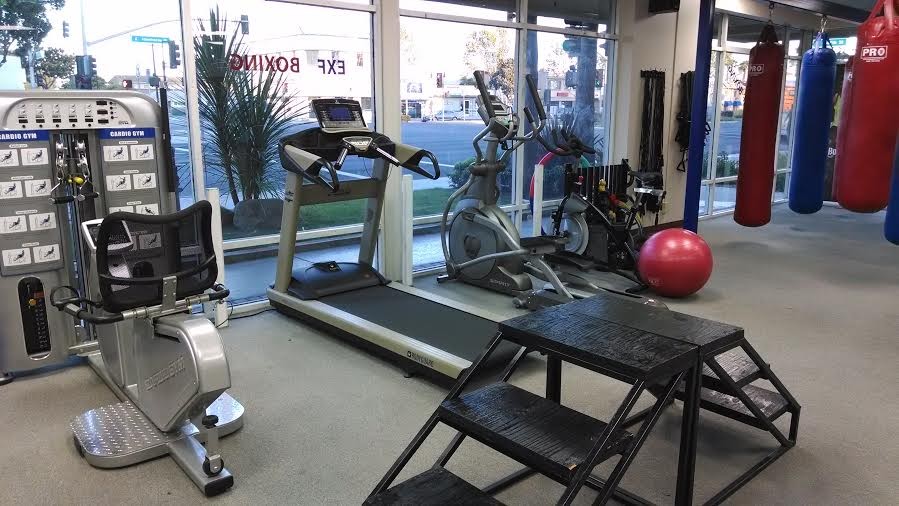 SPACIOUS BOXING GYM and FITNESS STUDIO - A PERFECT LOCATION with boxing bags and lots of equipment