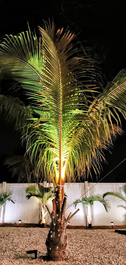 Spacious Backyard Tropical Oasis Close To The Beach 