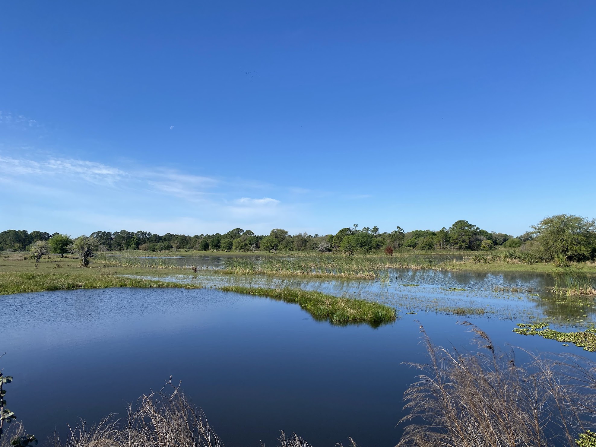 Waterside Camp - 4 Sites in Geneva 120 acres