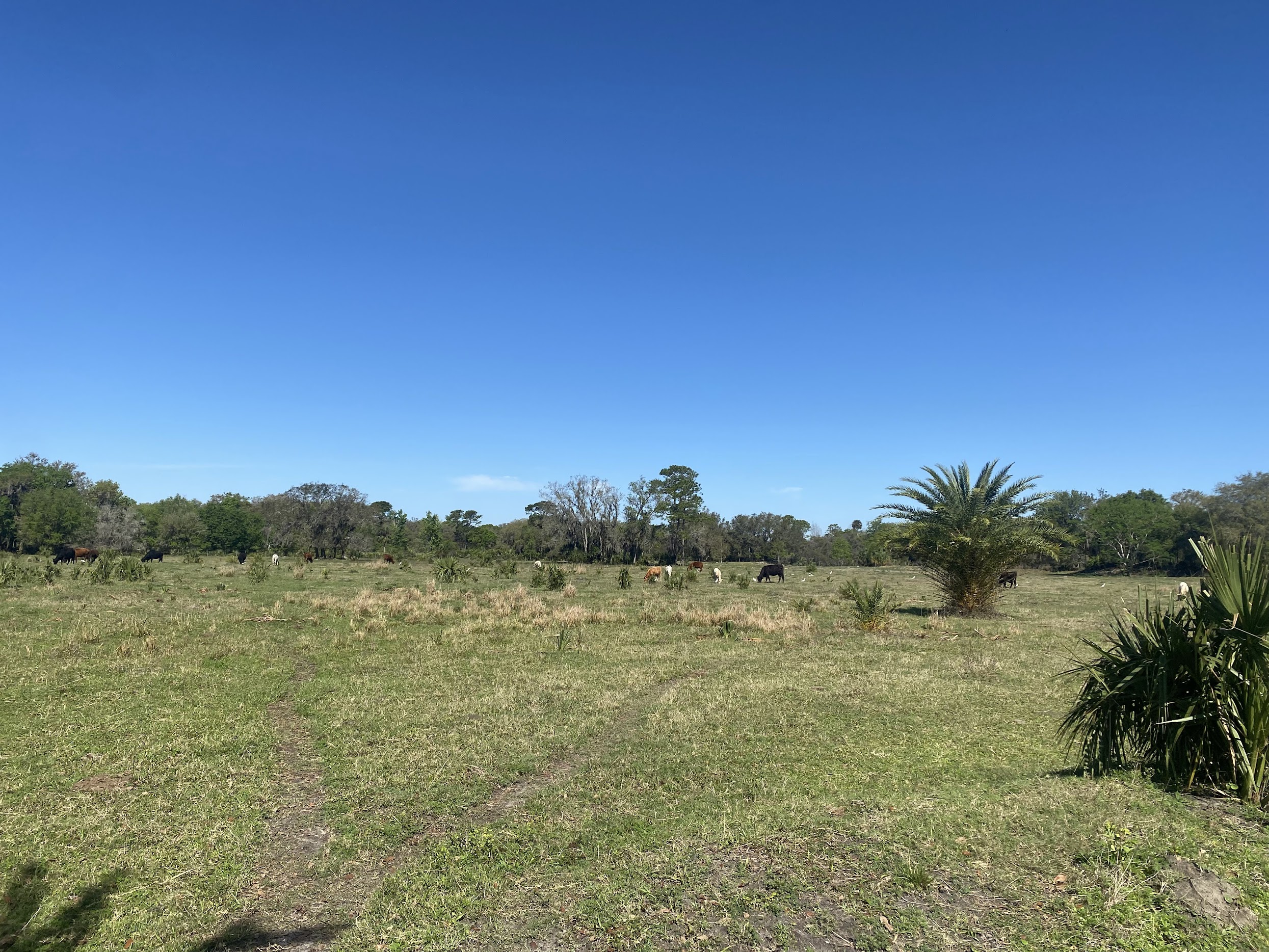 Waterside Camp - 4 Sites in Geneva 120 acres