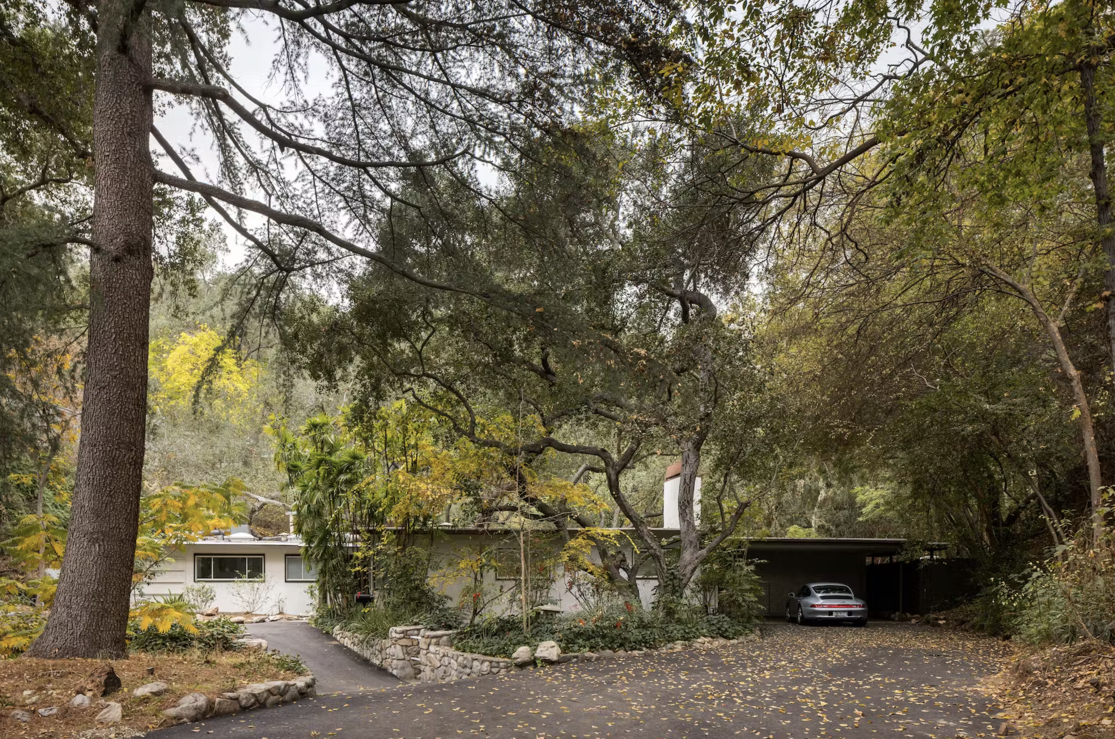 Historic Midcentury with Live Oaks and Stunning Natural Pool