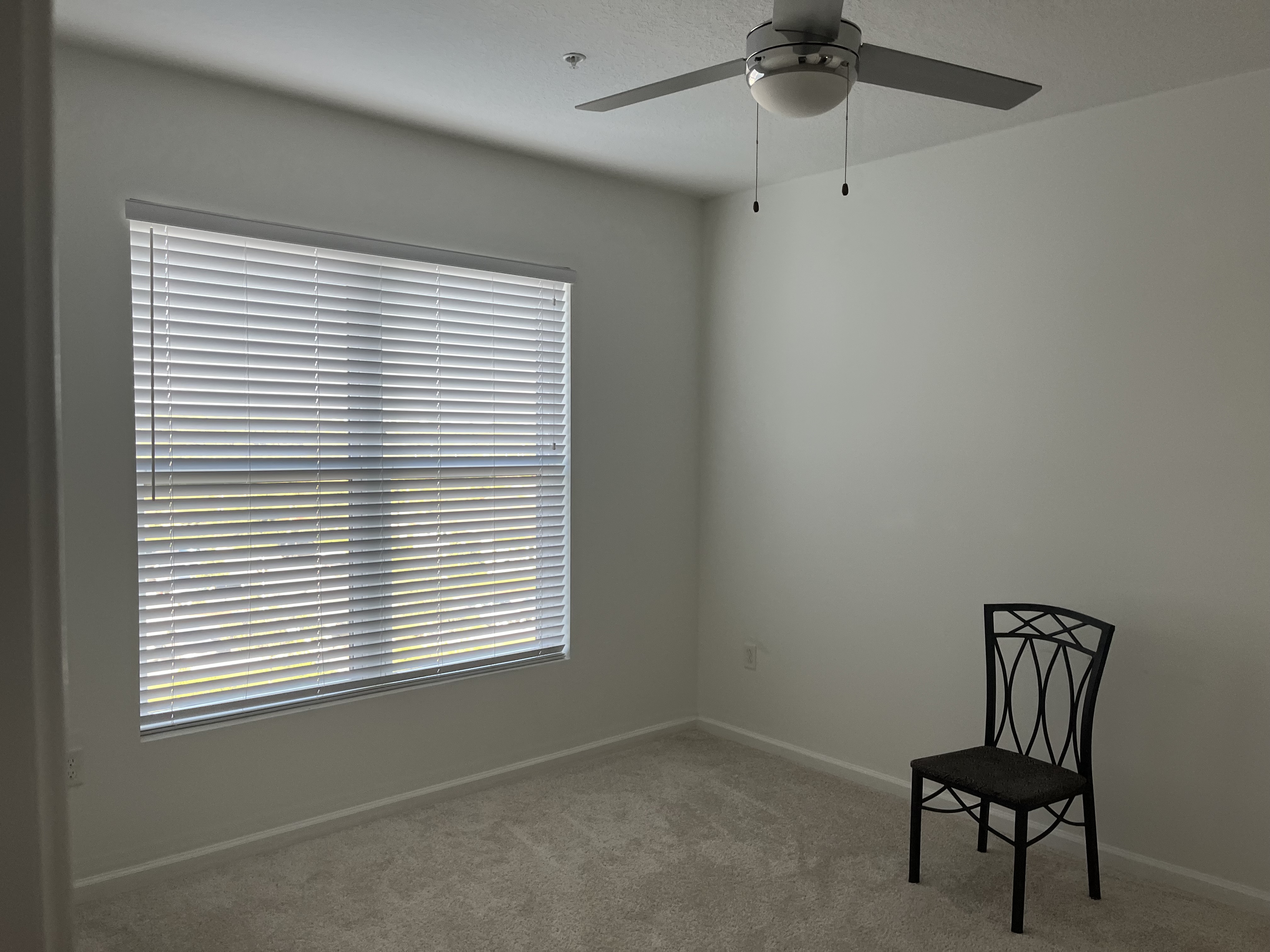 Apartment near Tampa Florida