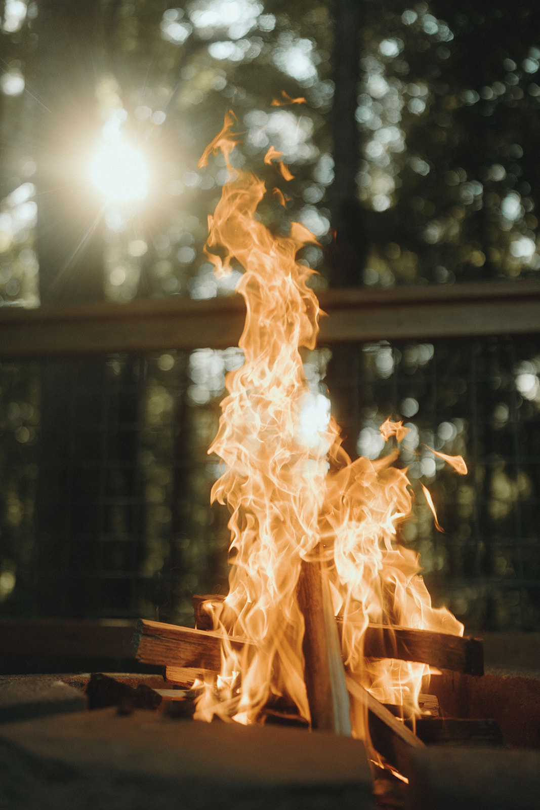 Modern Wooded Hills Cabin. Serene nature deck!