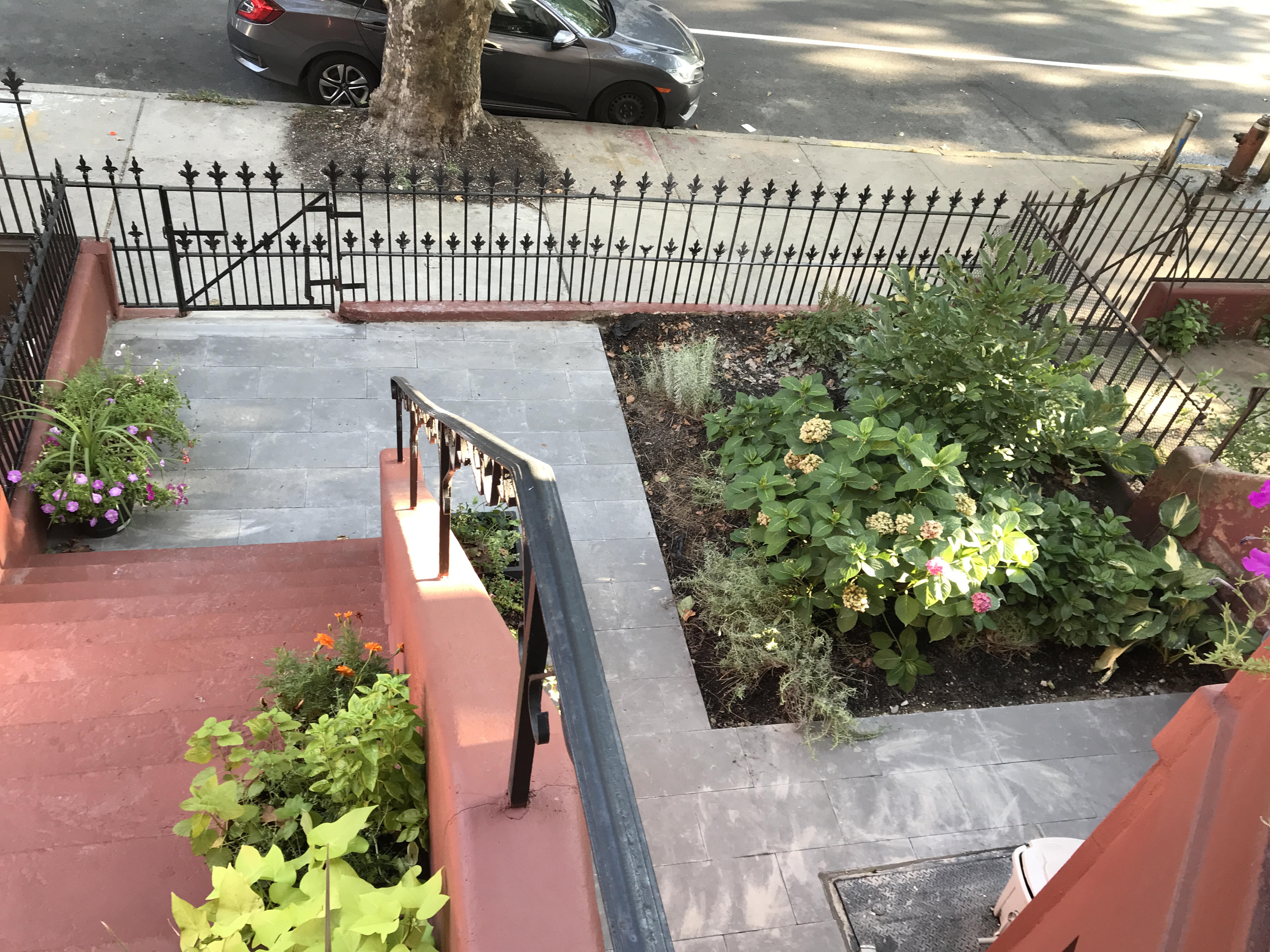 North Crown Heights Duplex
