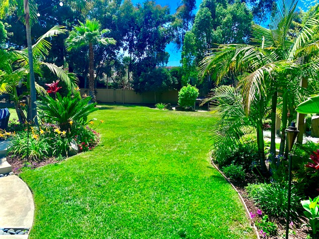 Bright, Fresh, Modern, Minimalist, West Facing with Tropical Entertainers Backyard 