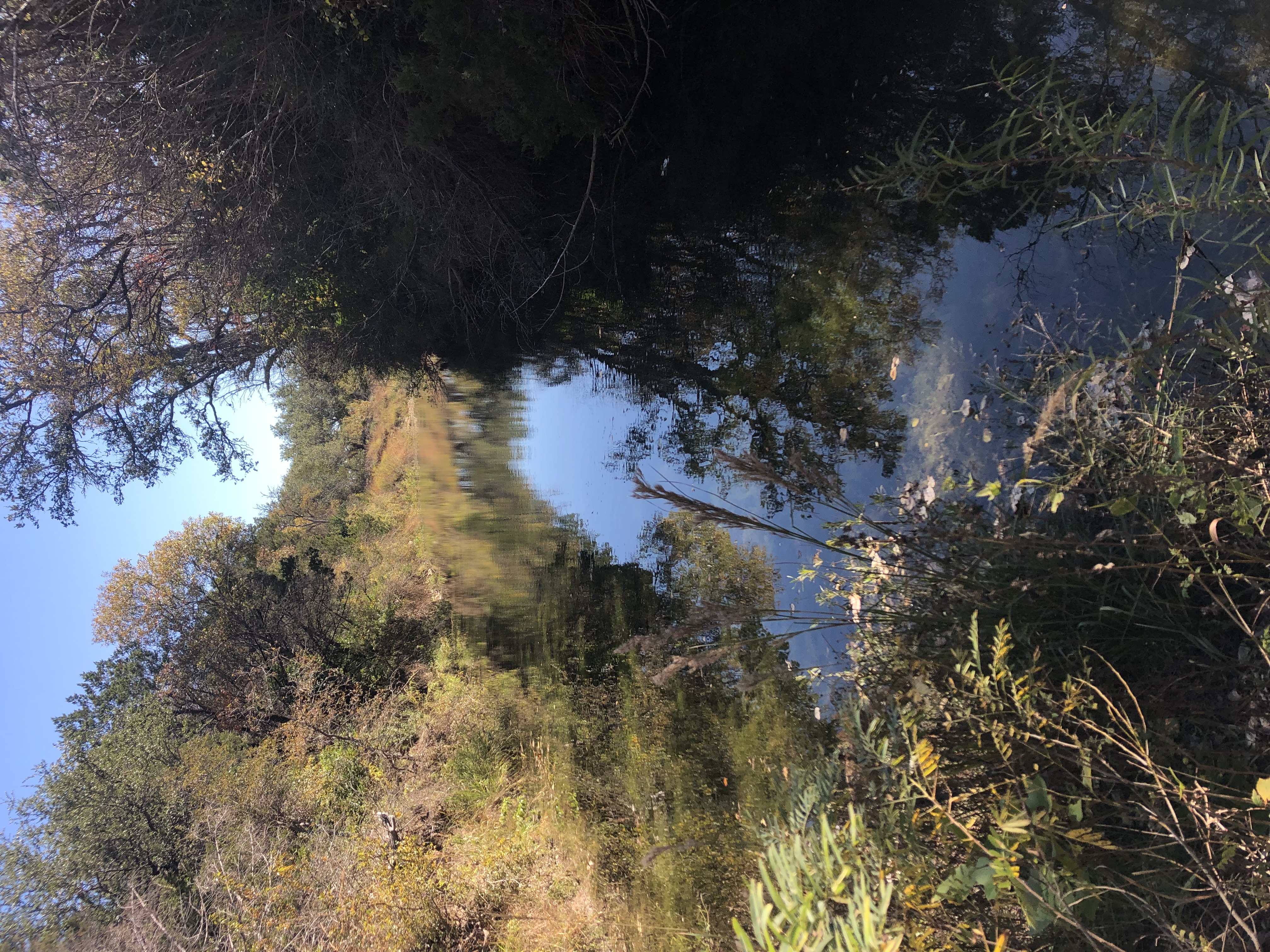 20 Acres of raw land on San Gabriel River in Bertram