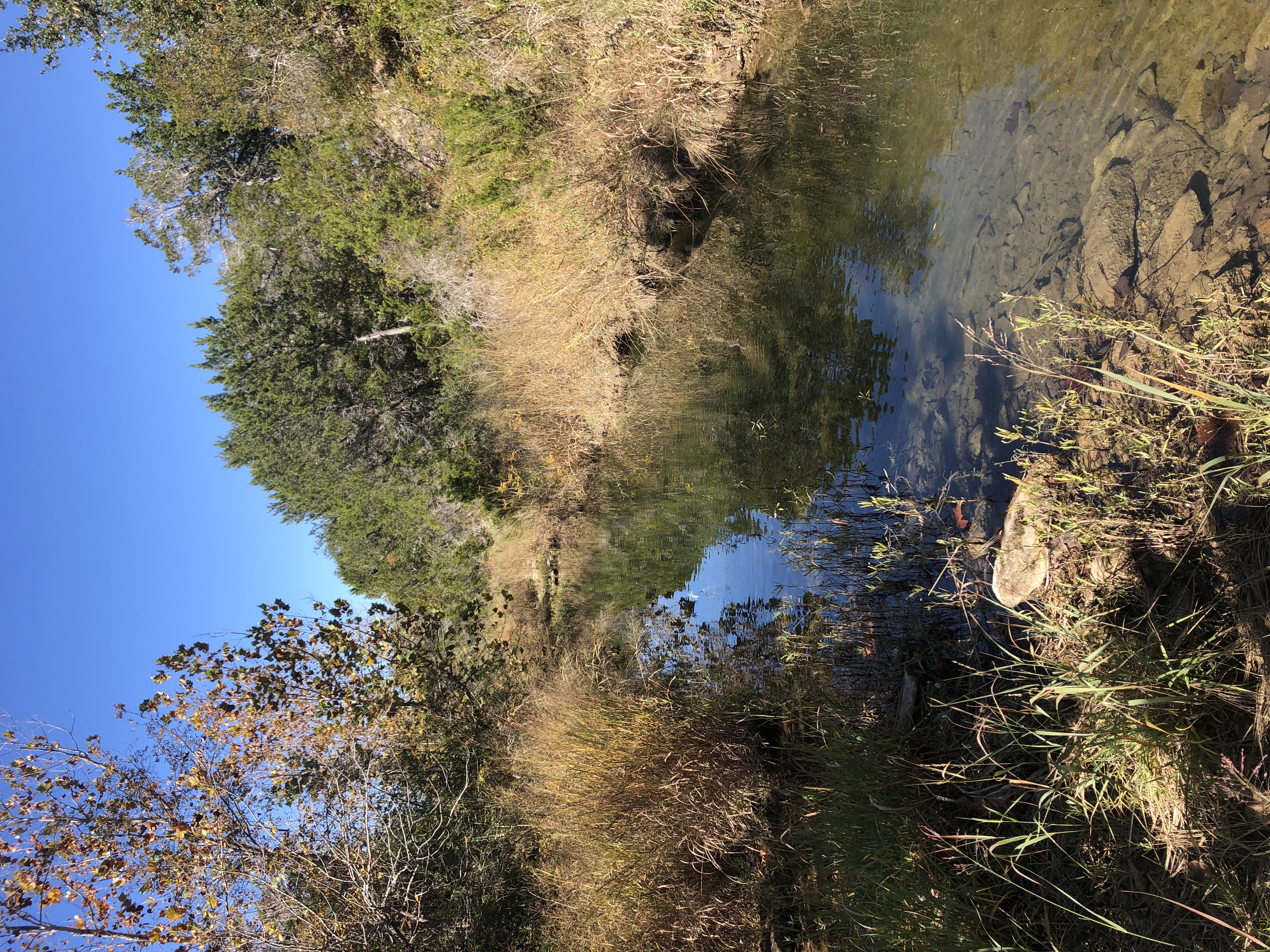 20 Acres of raw land on San Gabriel River in Bertram