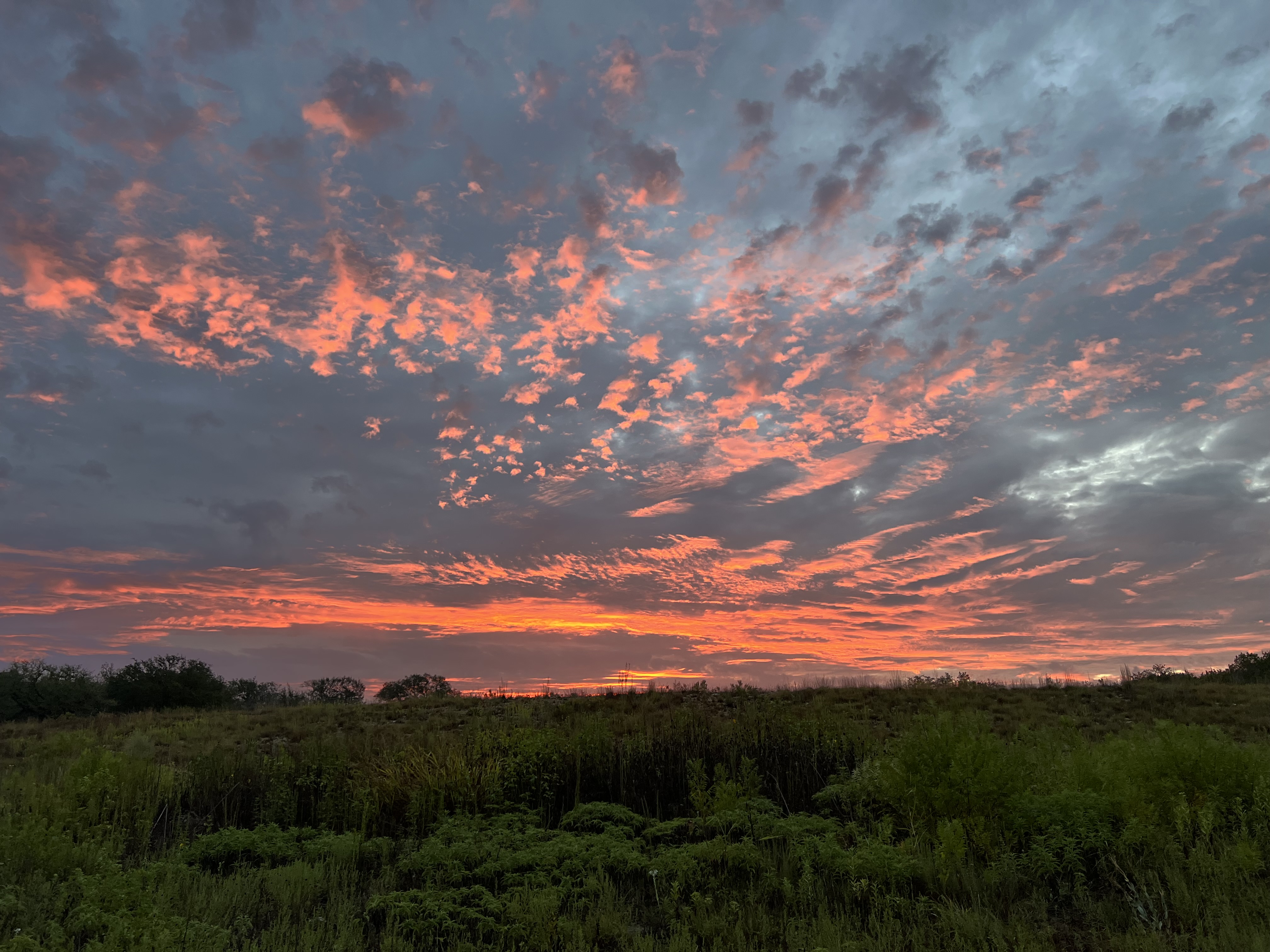 20 Acres of raw land on San Gabriel River in Bertram