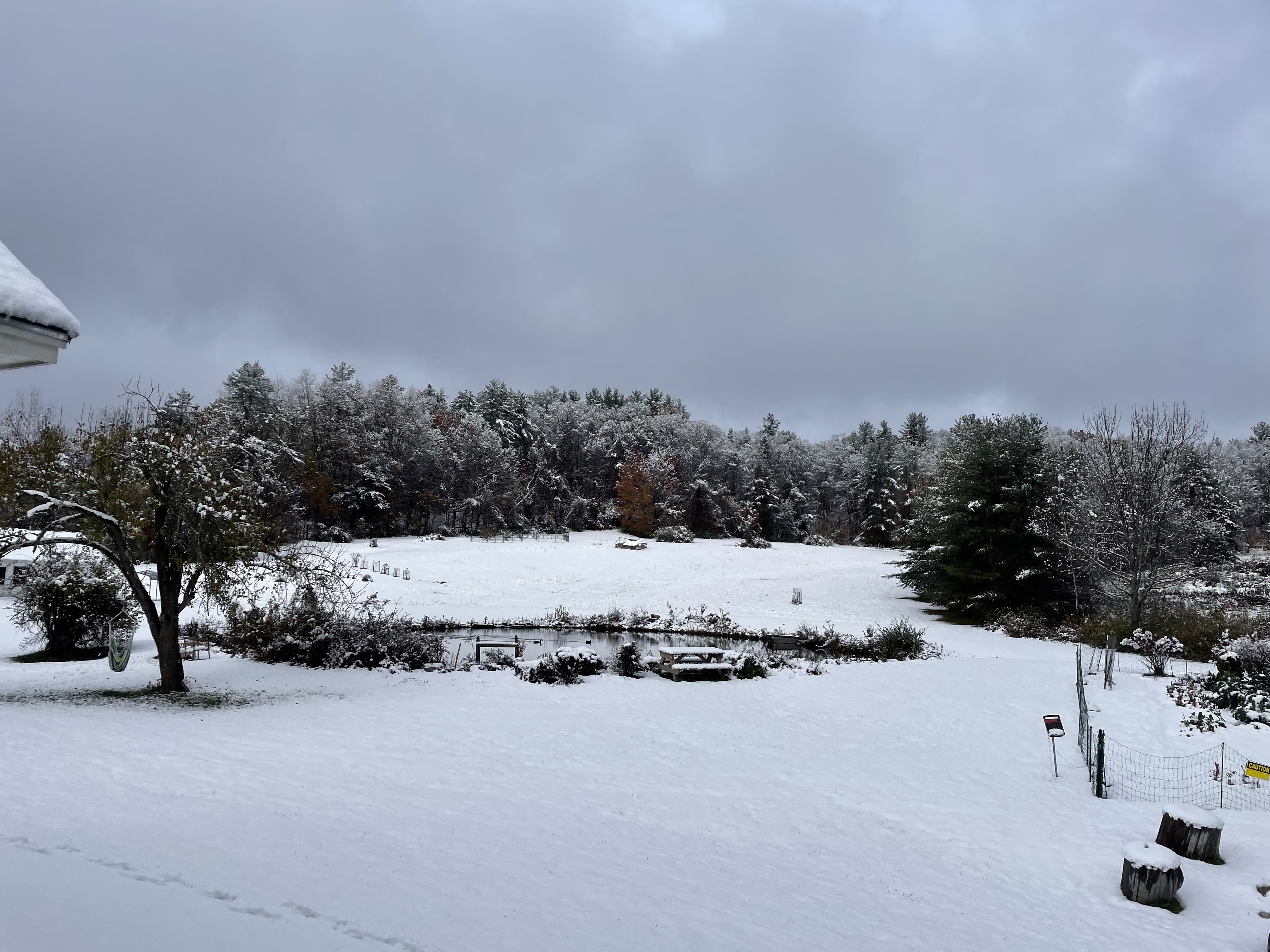 Gorgeous Farm Property with Pond, Woods, Goats, Chickens, Peacocks & Guineas